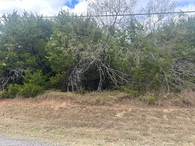 Unimproved Land For Sale in Hill County , 1533 White Bluff Drive, Whitney, Texas 76692, 0, 0, Garage spaces, 0 Sqft, built in 0, Price $20,000, mls#21103885, Real Estate Agent in Whitney, Homes For Sale in Hill county, Homes For Sale in Whitney, Realtor in Whitney Texas, Real Estate Brokerage Independent Realty Texas, Luminita Cordes Realtor