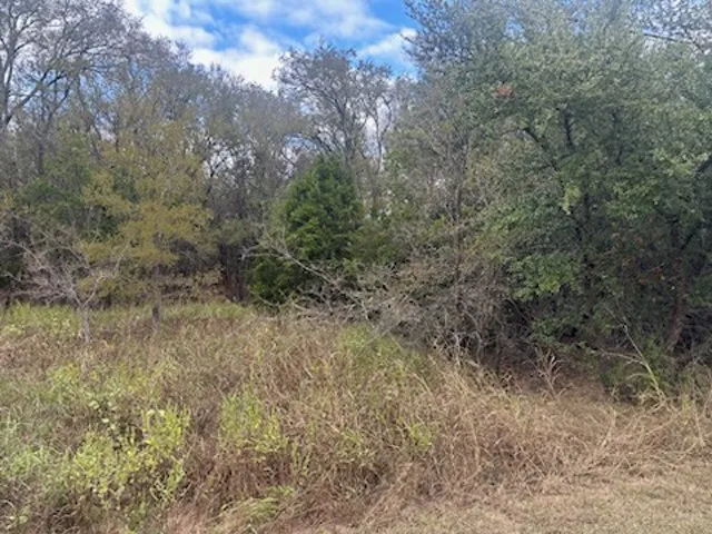 Unimproved Land For Sale in Hill County , 1531 White Bluff Drive, Whitney, Texas 76692, 0, 0, Garage spaces, 0 Sqft, built in 0, Price $23,000, mls#21103884, Real Estate Agent in Whitney, Homes For Sale in Hill county, Homes For Sale in Whitney, Realtor in Whitney Texas, Real Estate Brokerage Independent Realty Texas, Luminita Cordes Realtor