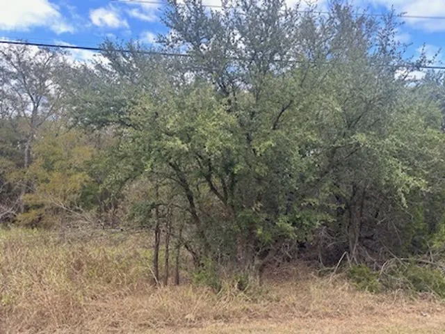 Unimproved Land For Sale in Hill County , 1531 White Bluff Drive, Whitney, Texas 76692, 0, 0, Garage spaces, 0 Sqft, built in 0, Price $23,000, mls#21103884, Real Estate Agent in Whitney, Homes For Sale in Hill county, Homes For Sale in Whitney, Realtor in Whitney Texas, Real Estate Brokerage Independent Realty Texas, Luminita Cordes Realtor