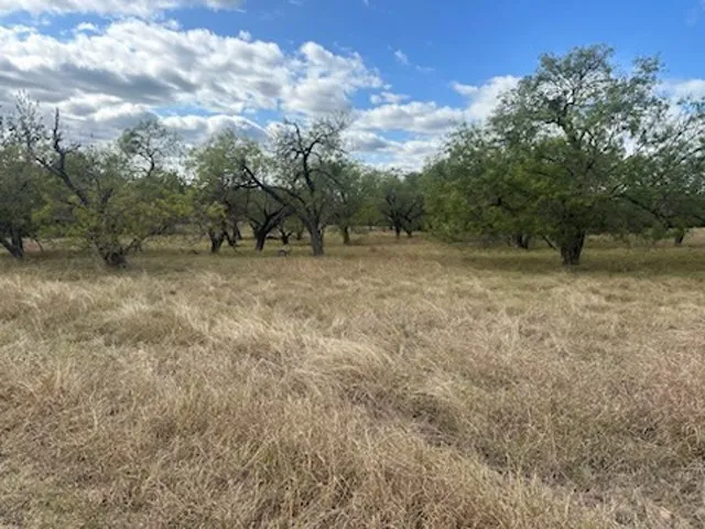 Unimproved Land For Sale in Hill County , 19098 White Bluff Drive, Whitney, Texas 76692, 0, 0, Garage spaces, 0 Sqft, built in 0, Price $22,000, mls#21103881, Real Estate Agent in Whitney, Homes For Sale in Hill county, Homes For Sale in Whitney, Realtor in Whitney Texas, Real Estate Brokerage Independent Realty Texas, Luminita Cordes Realtor