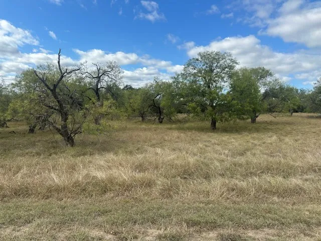 Unimproved Land For Sale in Hill County , 19098 White Bluff Drive, Whitney, Texas 76692, 0, 0, Garage spaces, 0 Sqft, built in 0, Price $22,000, mls#21103881, Real Estate Agent in Whitney, Homes For Sale in Hill county, Homes For Sale in Whitney, Realtor in Whitney Texas, Real Estate Brokerage Independent Realty Texas, Luminita Cordes Realtor