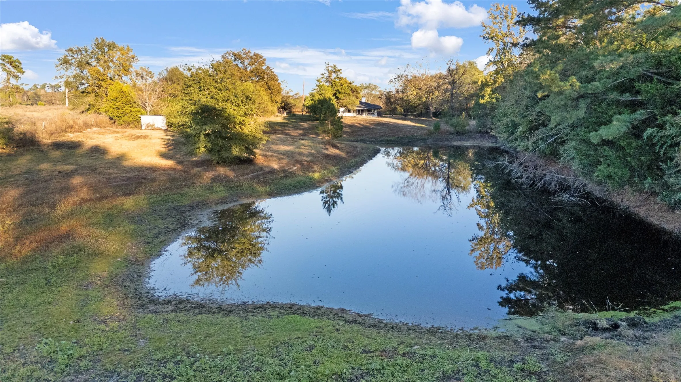 Single Family Residence For Sale in Upshur County , 9086 FM 49, Gilmer, Texas 75644, 3 Bedroom, 2 Bathroom, 1 Garage spaces, 2,200 Sqft, built in 1957, mls#21107200, Real Estate Agent in Gilmer, Homes For Sale in Upshur county, Homes For Sale in Gilmer, Realtor in Gilmer Texas, Real Estate Brokerage Independent Realty Texas, Luminita Cordes Realtor