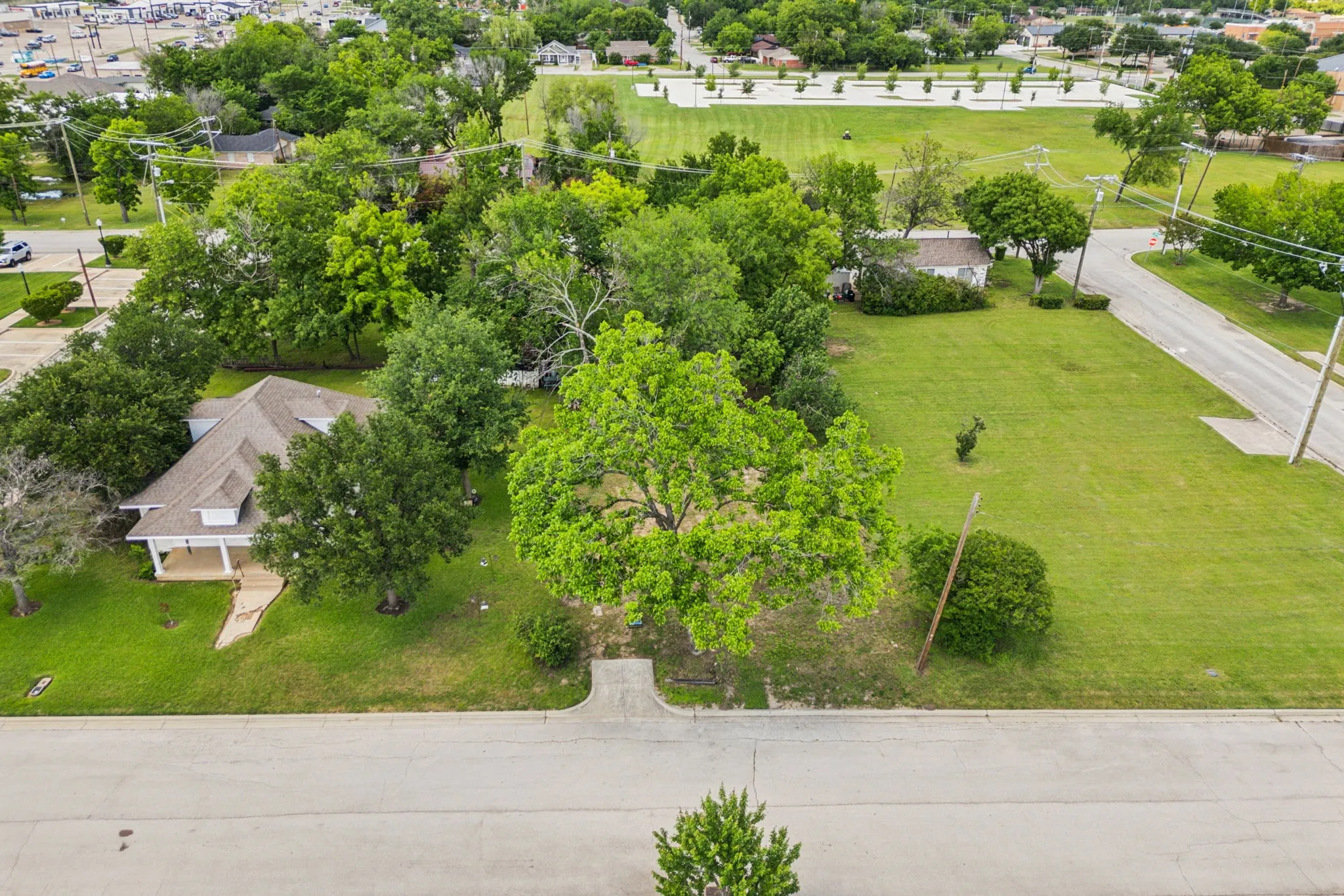 Drone / aerial view of a tree filled landscape