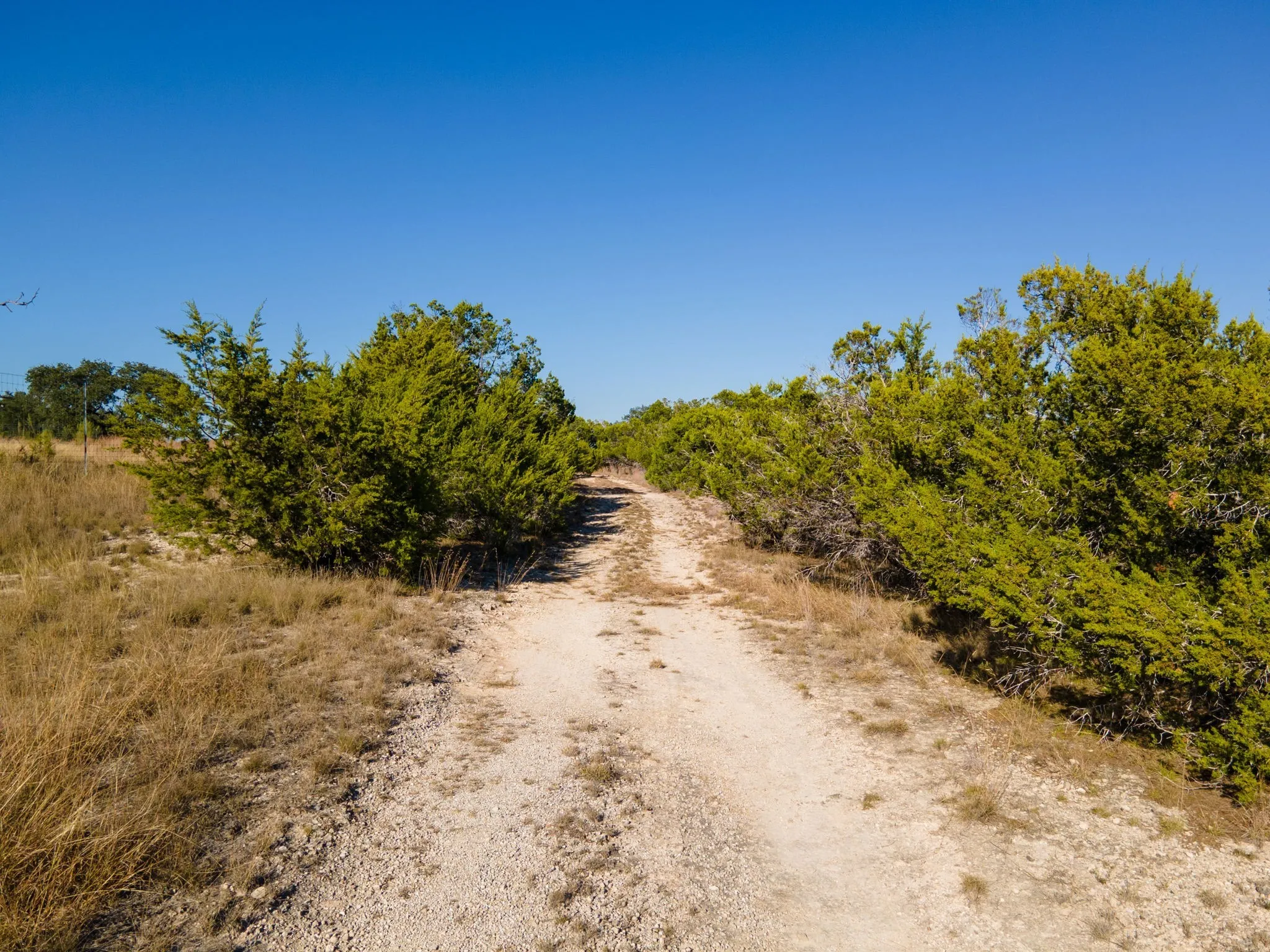 View of dirt / gravel road with a view of rural / pastoral area