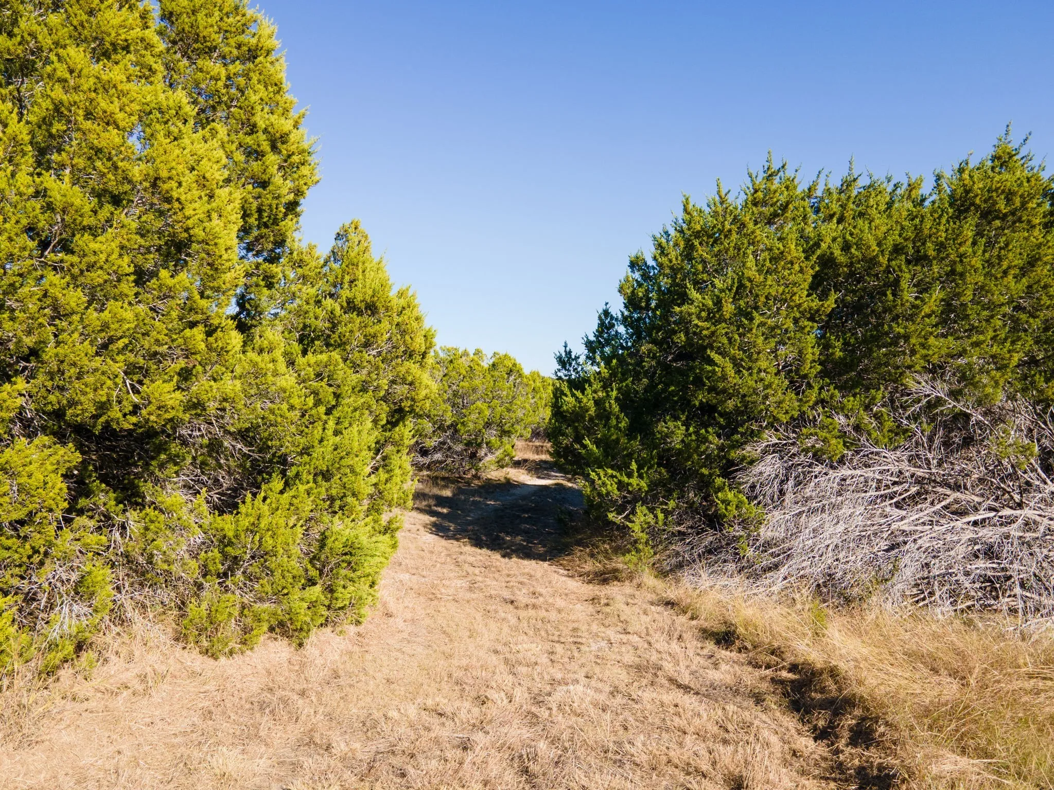 View of local wilderness