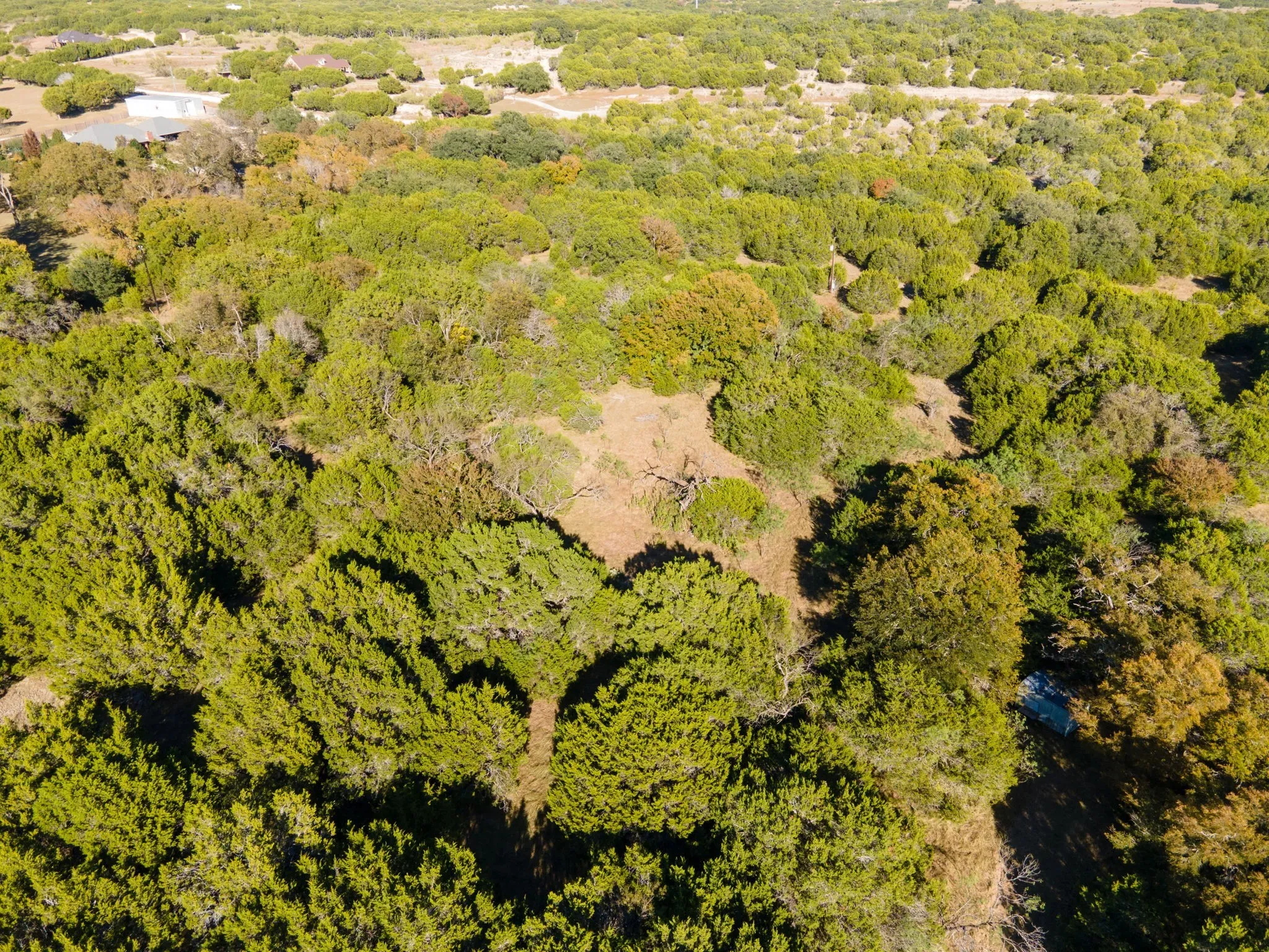 Bird's eye view of a heavily wooded area