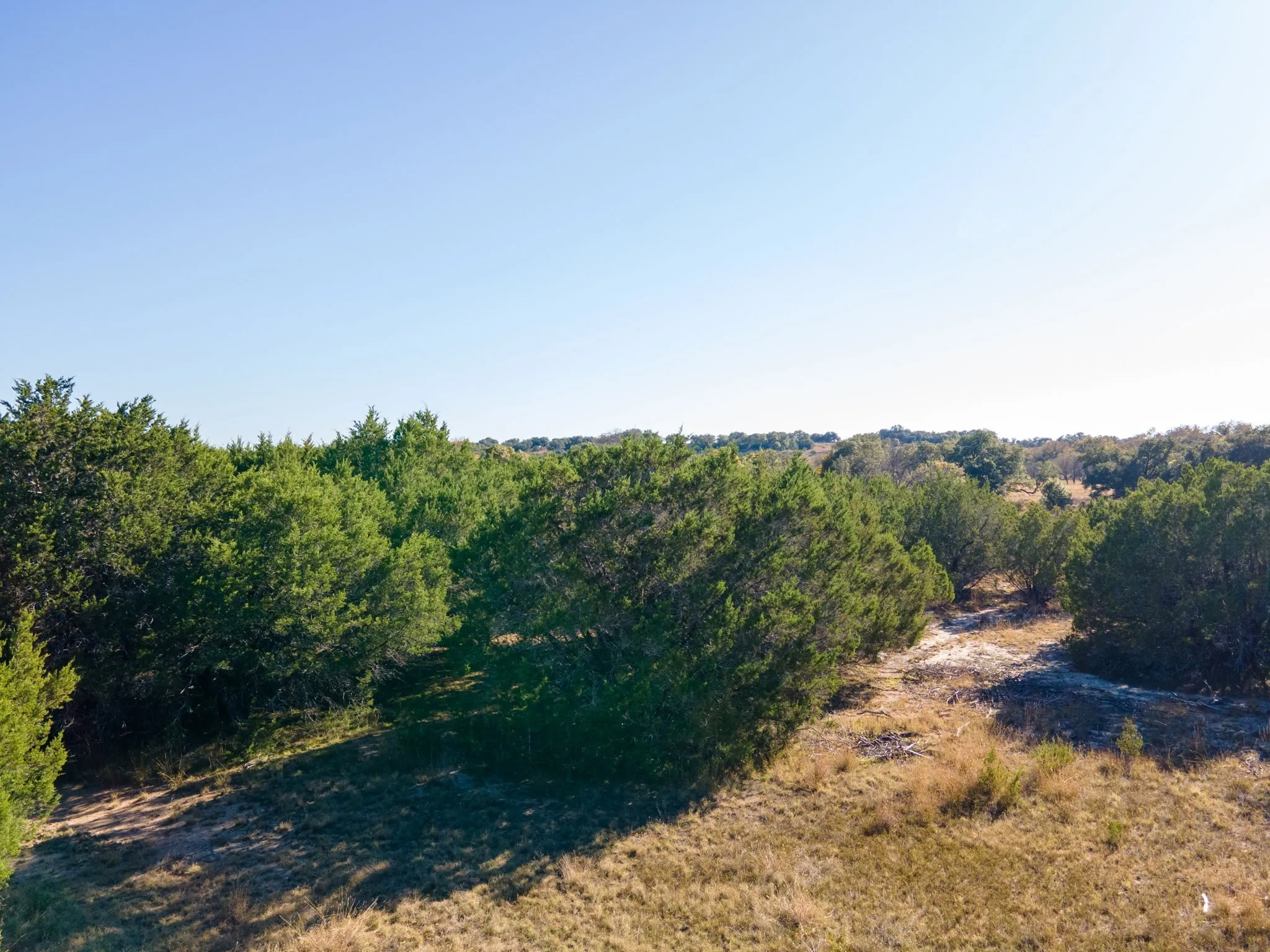 View of undeveloped land
