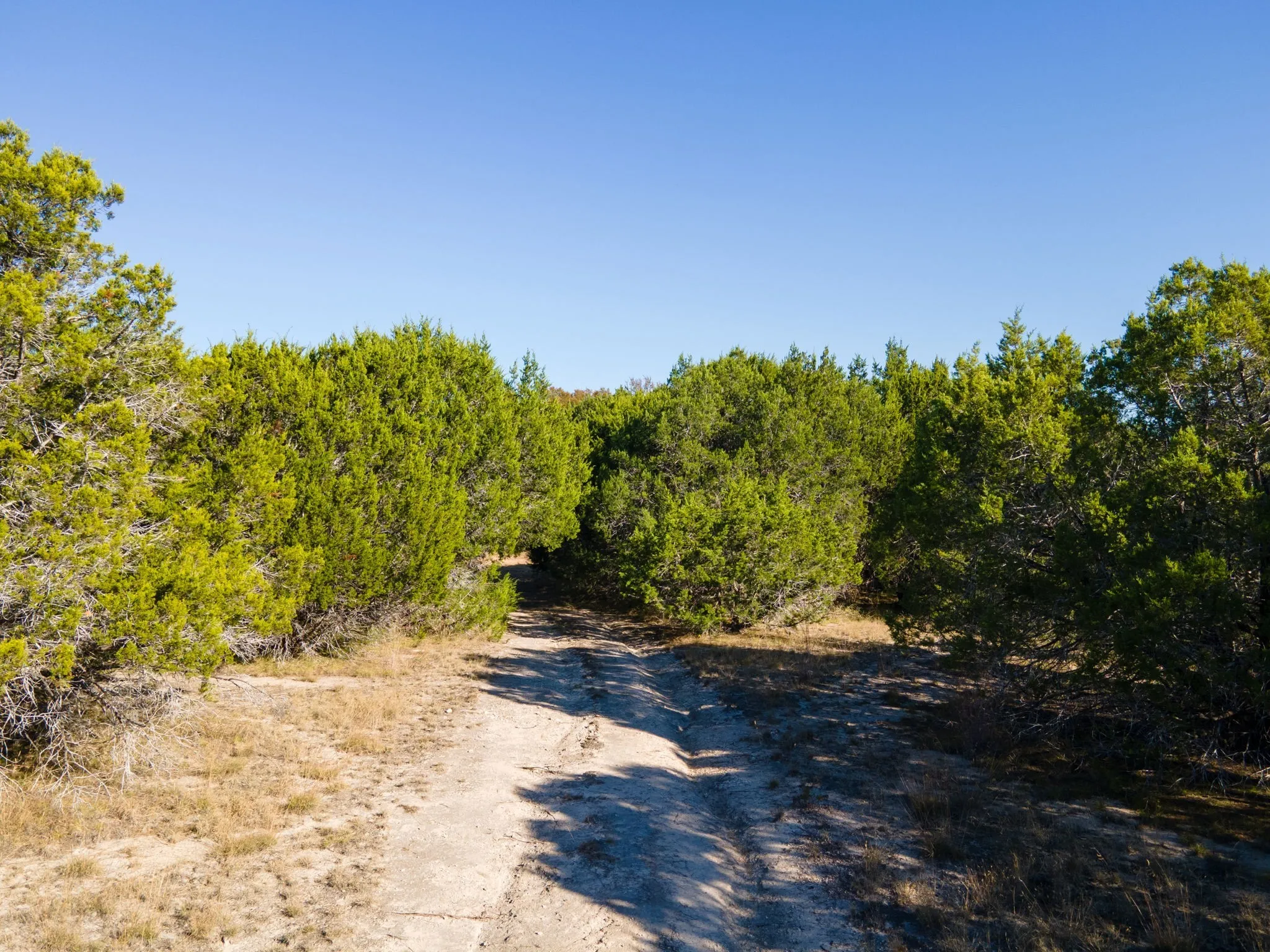 View of road