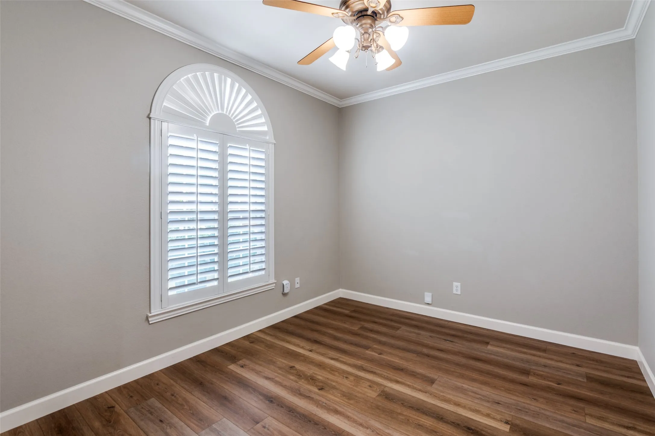 Office featuring crown molding, dark wood-type flooring, and a ceiling fan
