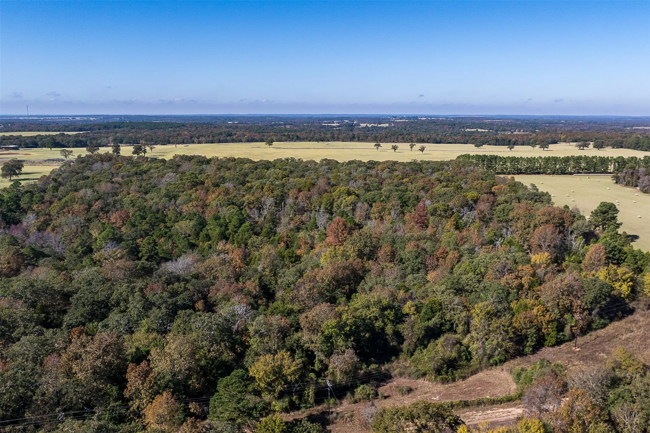 Ranch For Sale in Anderson County , 13793 An County Road 404, Palestine, Texas 75803, 0, 0, Garage spaces, 0 Sqft, built in 2007, mls#21107530, Real Estate Agent in Palestine, Homes For Sale in Anderson county, Homes For Sale in Palestine, Realtor in Palestine Texas, Real Estate Brokerage Independent Realty Texas, Luminita Cordes Realtor