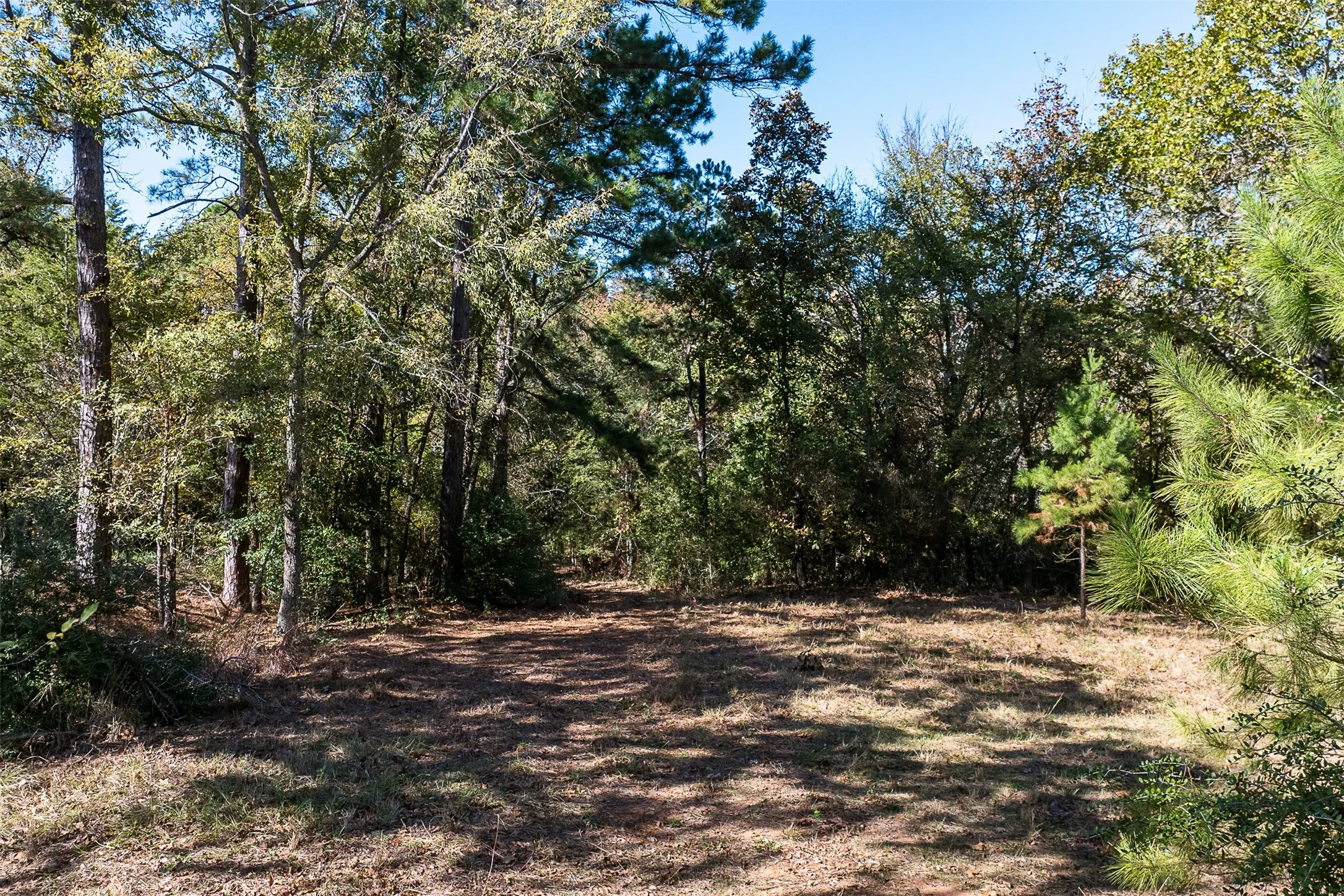 Ranch For Sale in Anderson County , 13793 An County Road 404, Palestine, Texas 75803, 0, 0, Garage spaces, 0 Sqft, built in 2007, mls#21107530, Real Estate Agent in Palestine, Homes For Sale in Anderson county, Homes For Sale in Palestine, Realtor in Palestine Texas, Real Estate Brokerage Independent Realty Texas, Luminita Cordes Realtor