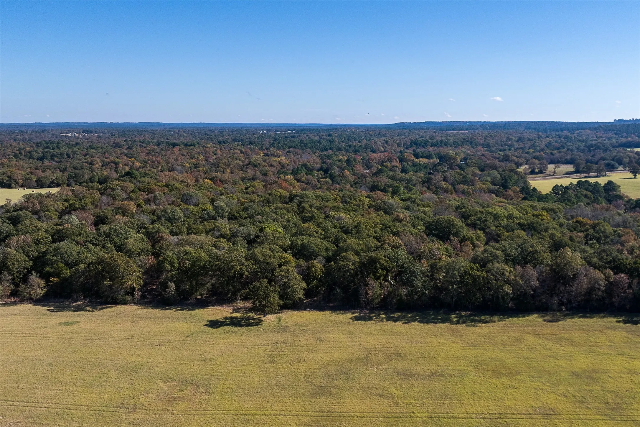 Ranch For Sale in Anderson County , 13793 An County Road 404, Palestine, Texas 75803, 0, 0, Garage spaces, 0 Sqft, built in 2007, mls#21107530, Real Estate Agent in Palestine, Homes For Sale in Anderson county, Homes For Sale in Palestine, Realtor in Palestine Texas, Real Estate Brokerage Independent Realty Texas, Luminita Cordes Realtor