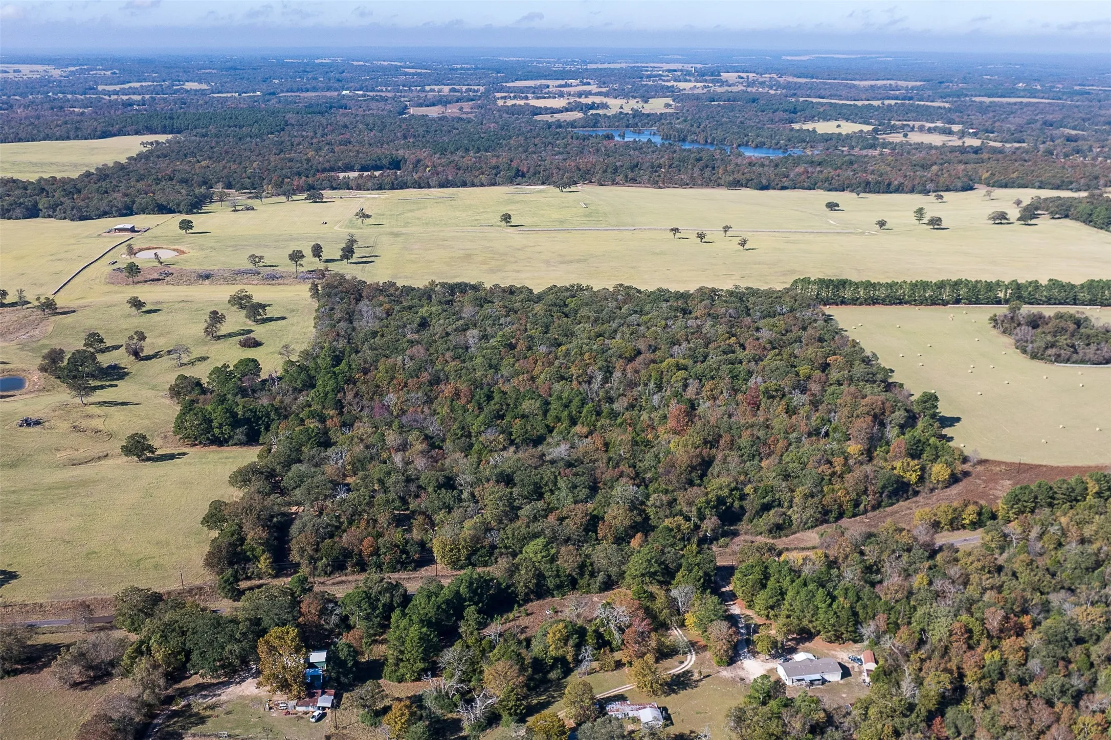 Ranch For Sale in Anderson County , 13793 An County Road 404, Palestine, Texas 75803, 0, 0, Garage spaces, 0 Sqft, built in 2007, mls#21107530, Real Estate Agent in Palestine, Homes For Sale in Anderson county, Homes For Sale in Palestine, Realtor in Palestine Texas, Real Estate Brokerage Independent Realty Texas, Luminita Cordes Realtor