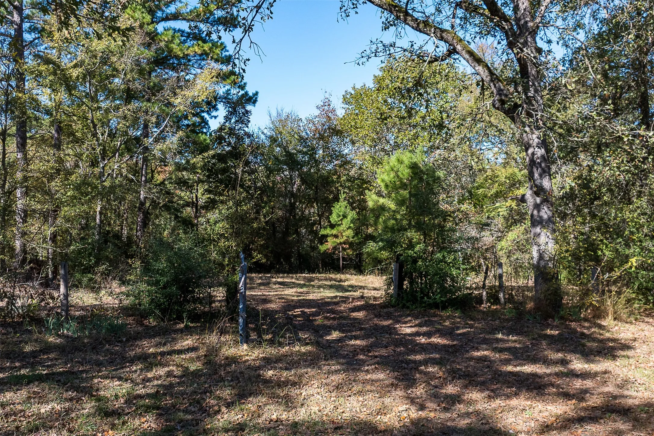 Ranch For Sale in Anderson County , 13793 An County Road 404, Palestine, Texas 75803, 0, 0, Garage spaces, 0 Sqft, built in 2007, mls#21107530, Real Estate Agent in Palestine, Homes For Sale in Anderson county, Homes For Sale in Palestine, Realtor in Palestine Texas, Real Estate Brokerage Independent Realty Texas, Luminita Cordes Realtor