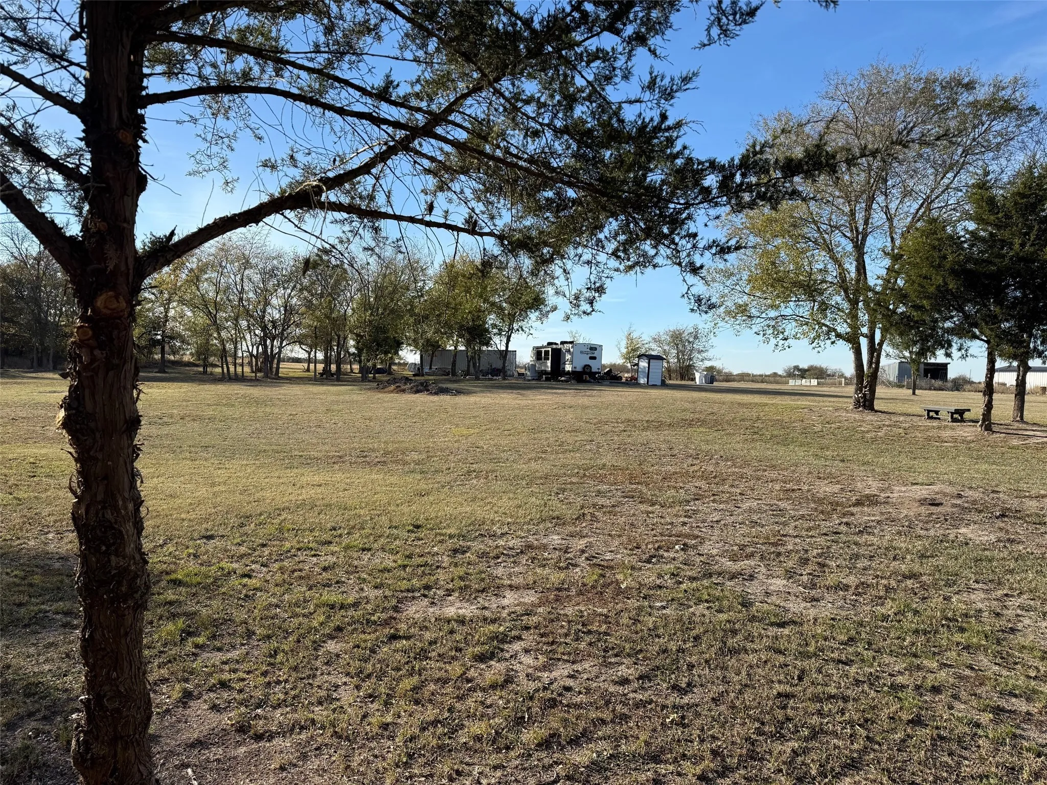 View of green lawn