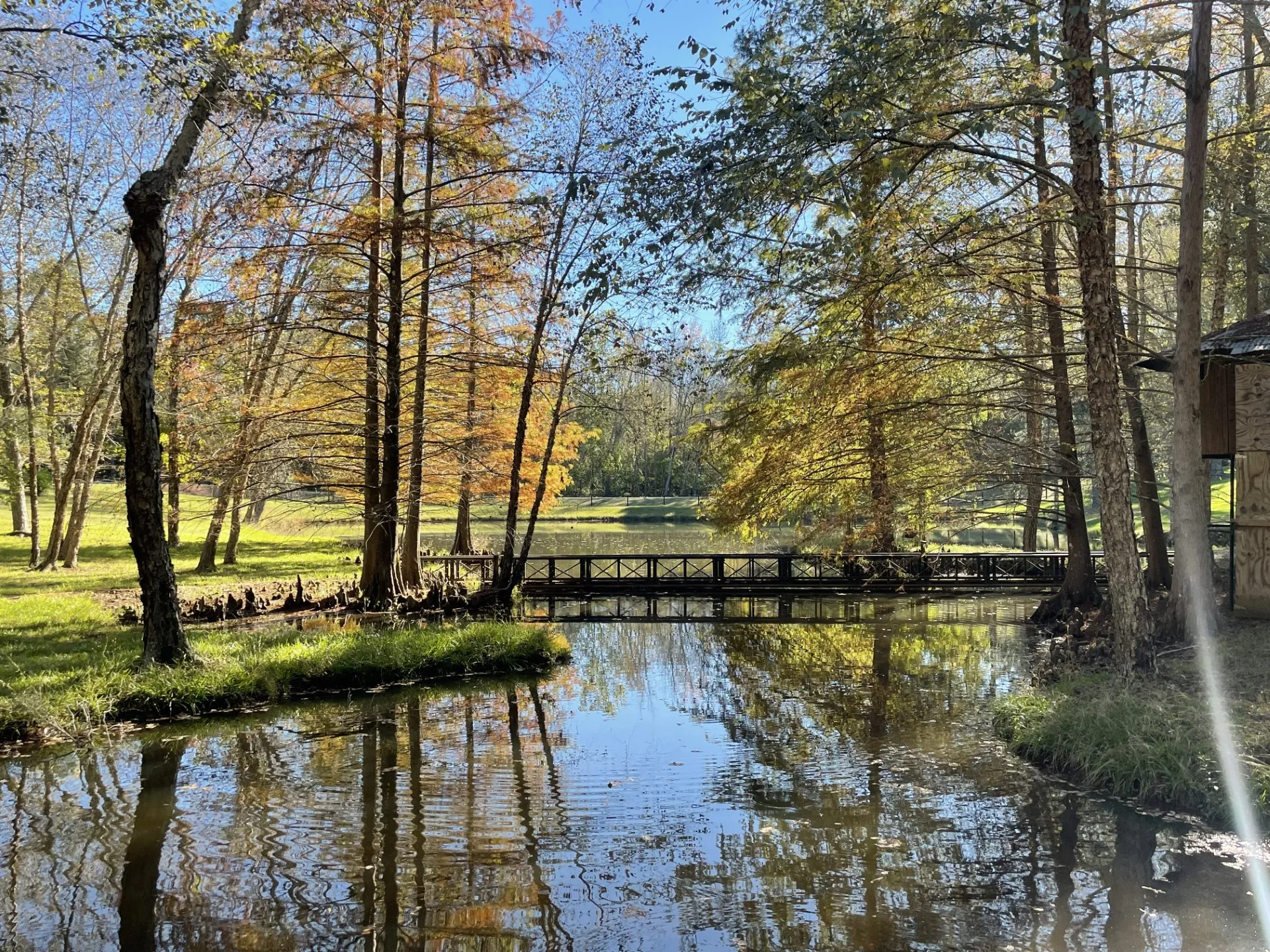 Single Family Residence For Sale in Smith County , 22233 County Road 223, Arp, Texas 75750, 4 Bedrooms, 3 Bathrooms, Garage spaces, 2,468 Sqft, built in 1998, Preowned, Price $675,000, mls#21107871, Real Estate Agent in Arp, Homes For Sale in Smith county, Homes For Sale in Arp, Realtor in Arp Texas, Real Estate Brokerage Independent Realty Texas, Luminita Cordes Realtor