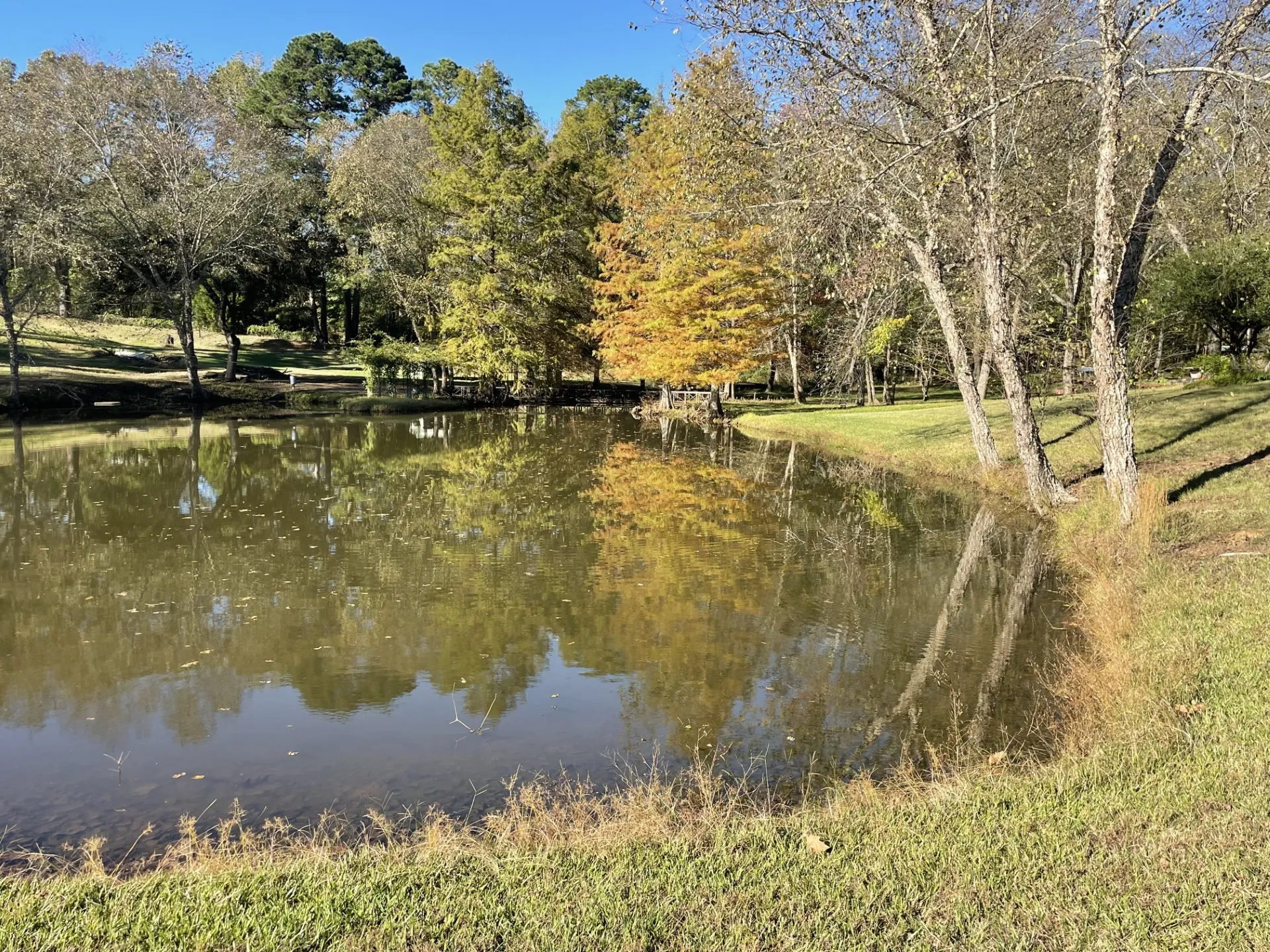 Single Family Residence For Sale in Smith County , 22233 County Road 223, Arp, Texas 75750, 4 Bedrooms, 3 Bathrooms, Garage spaces, 2,468 Sqft, built in 1998, Preowned, Price $675,000, mls#21107871, Real Estate Agent in Arp, Homes For Sale in Smith county, Homes For Sale in Arp, Realtor in Arp Texas, Real Estate Brokerage Independent Realty Texas, Luminita Cordes Realtor