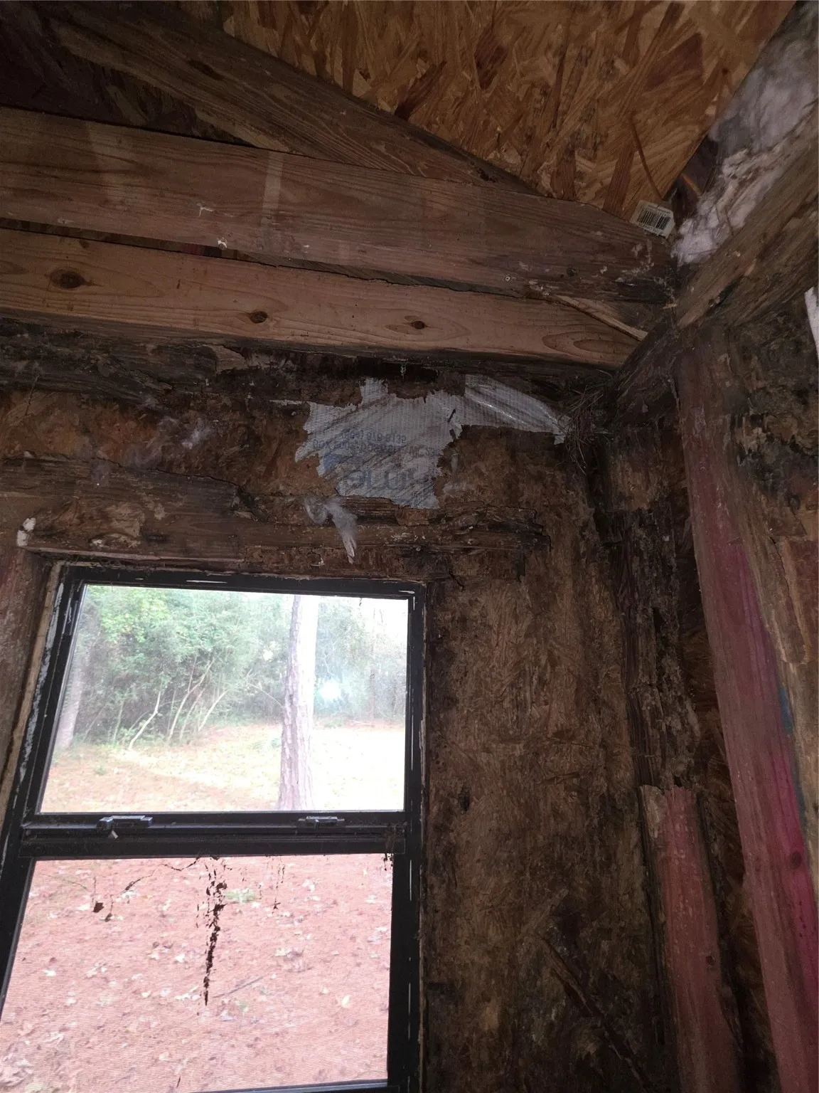Single Family Residence For Sale in Trinity County , 55 Birch Street, Trinity, Texas 75862, 4 Bedroom, 3 Bathroom, Garage spaces, 2,086 Sqft, built in 1985, mls#21107874, Real Estate Agent in Trinity, Homes For Sale in Trinity county, Homes For Sale in Trinity, Realtor in Trinity Texas, Real Estate Brokerage Independent Realty Texas, Luminita Cordes Realtor