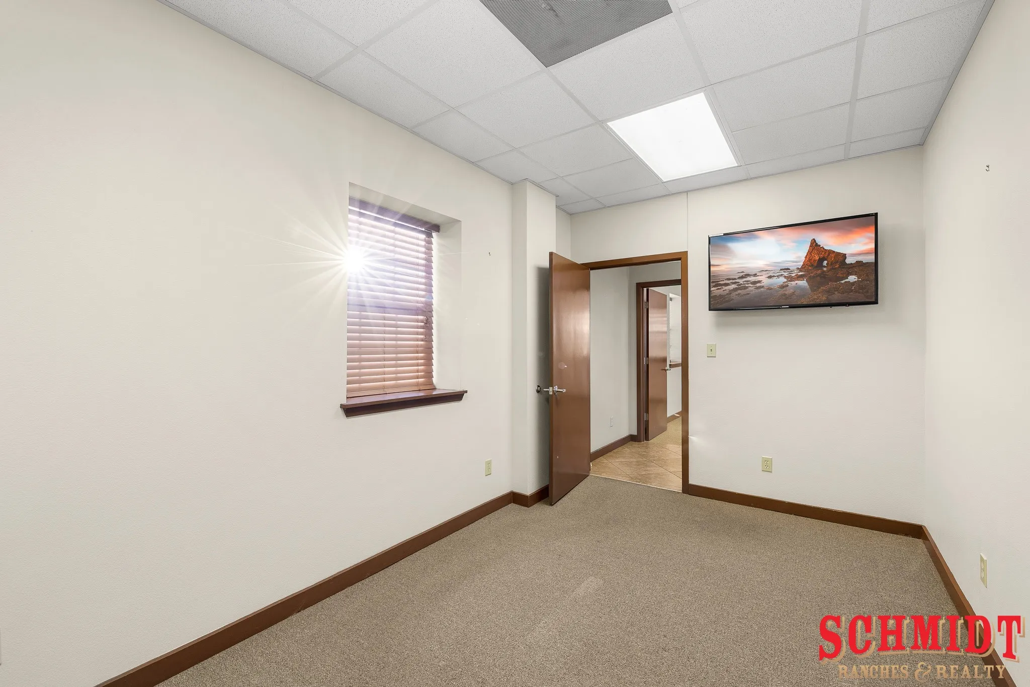Window with wood-tone blinds, neutral carpet, drop ceiling, and flush-mounted light fixtures