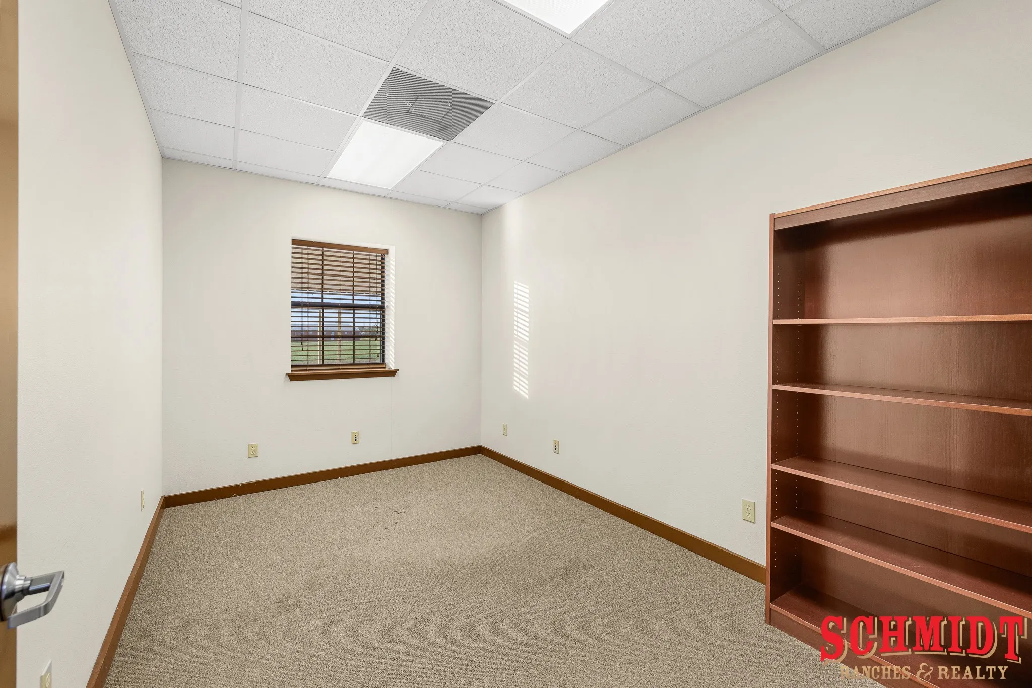 Window with wood-finish blinds, built-in shelving, neutral-toned carpeting, and drop ceiling with recessed lighting