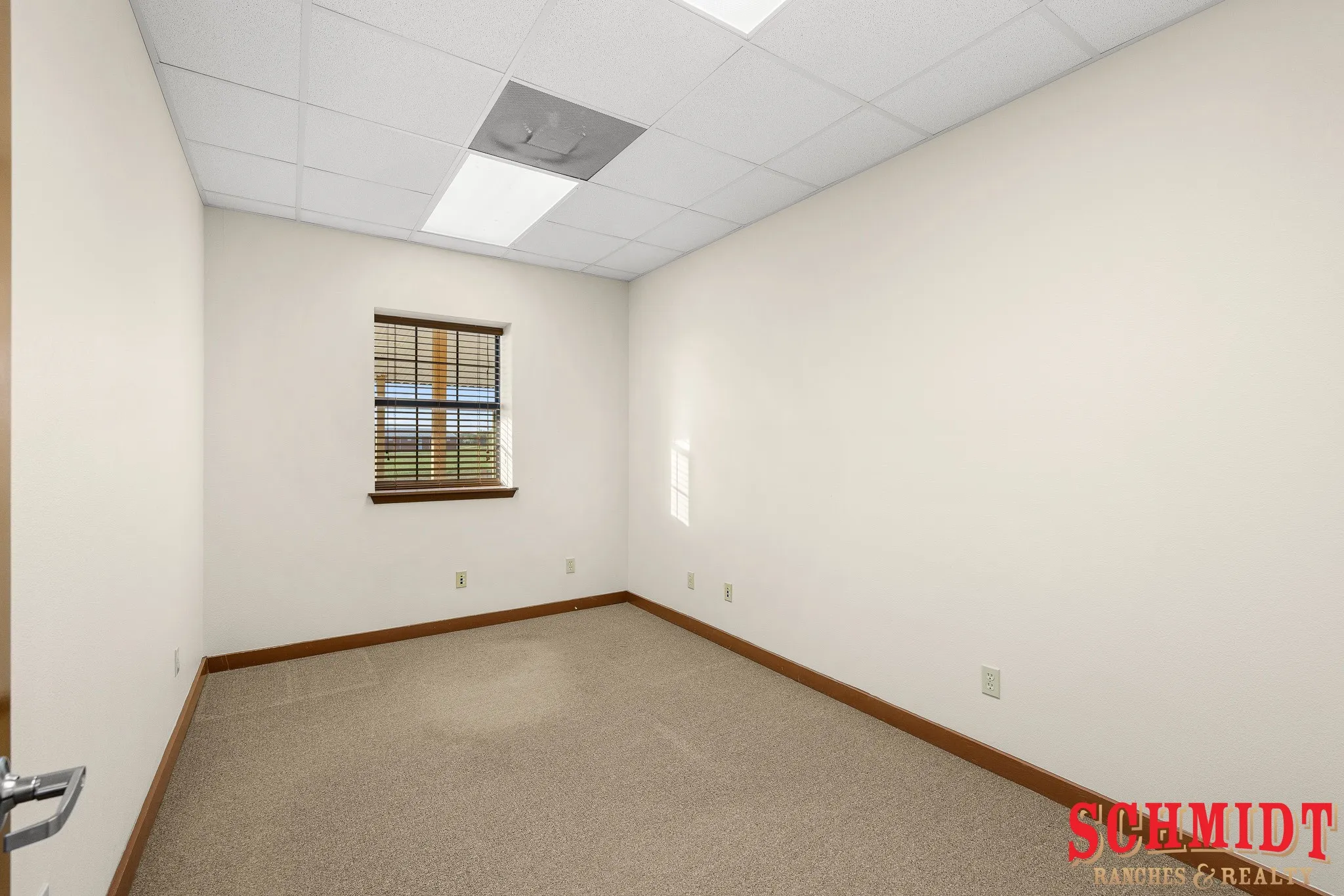 Recessed lighting, drop ceiling, window with wood-finish blinds, wood-finish trim, and neutral carpet