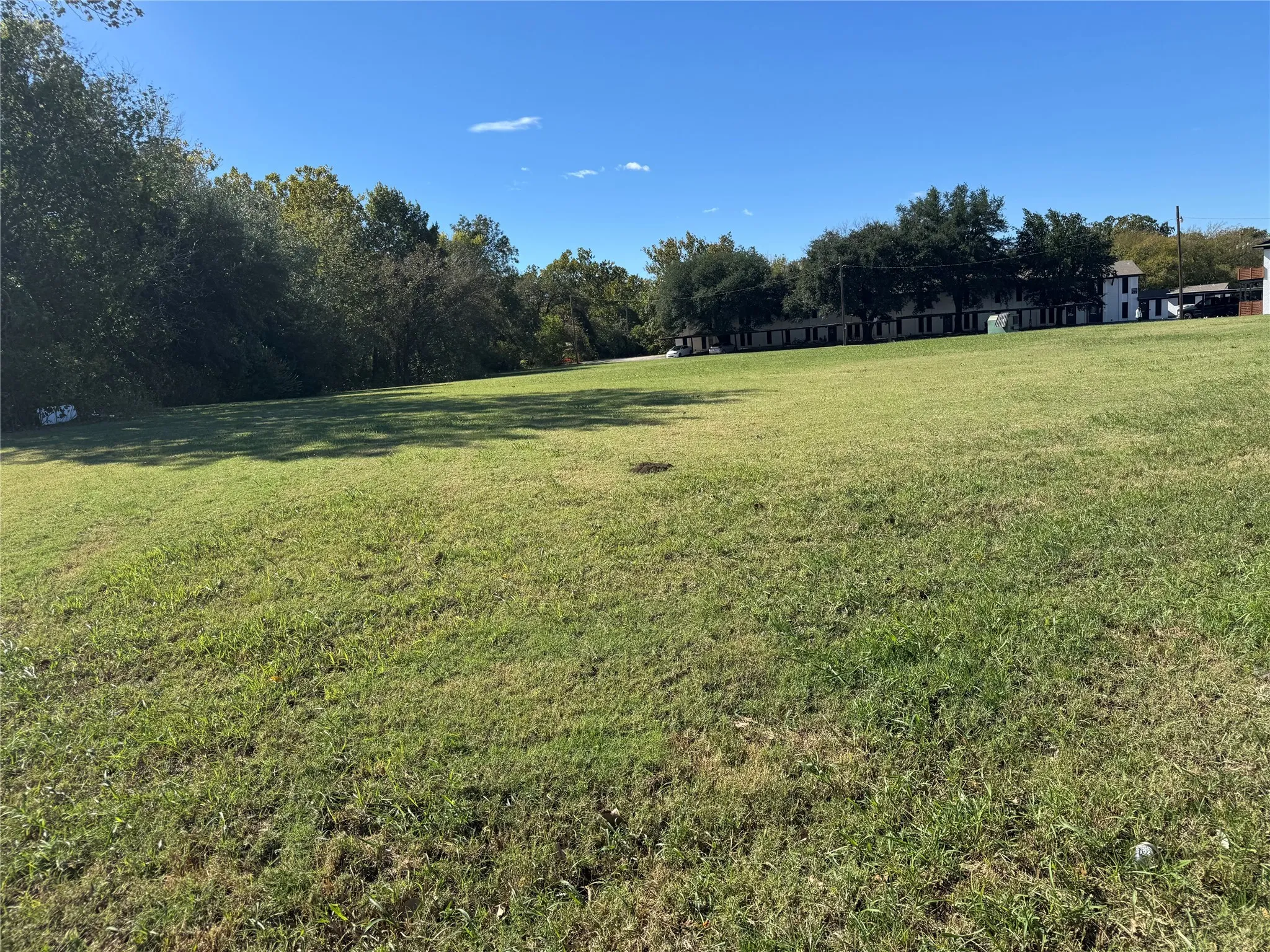 View of green lawn