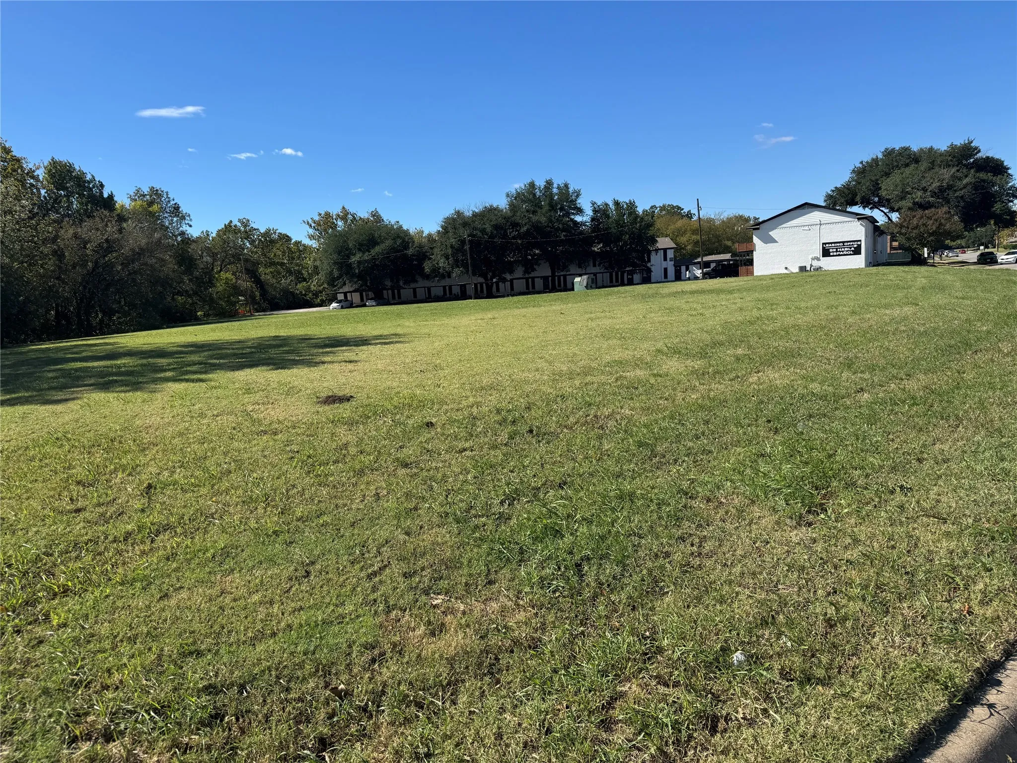 View of green lawn