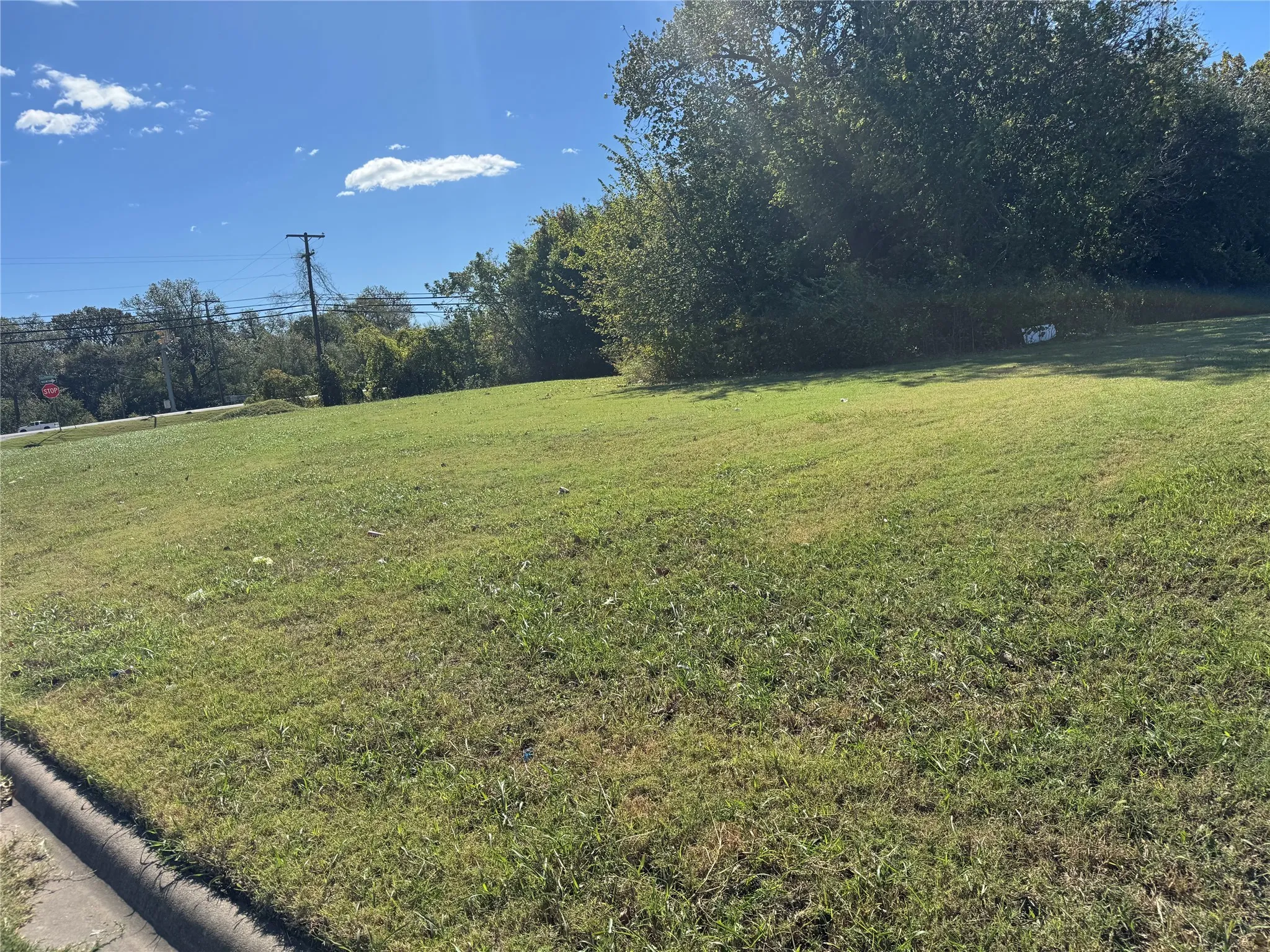View of green lawn