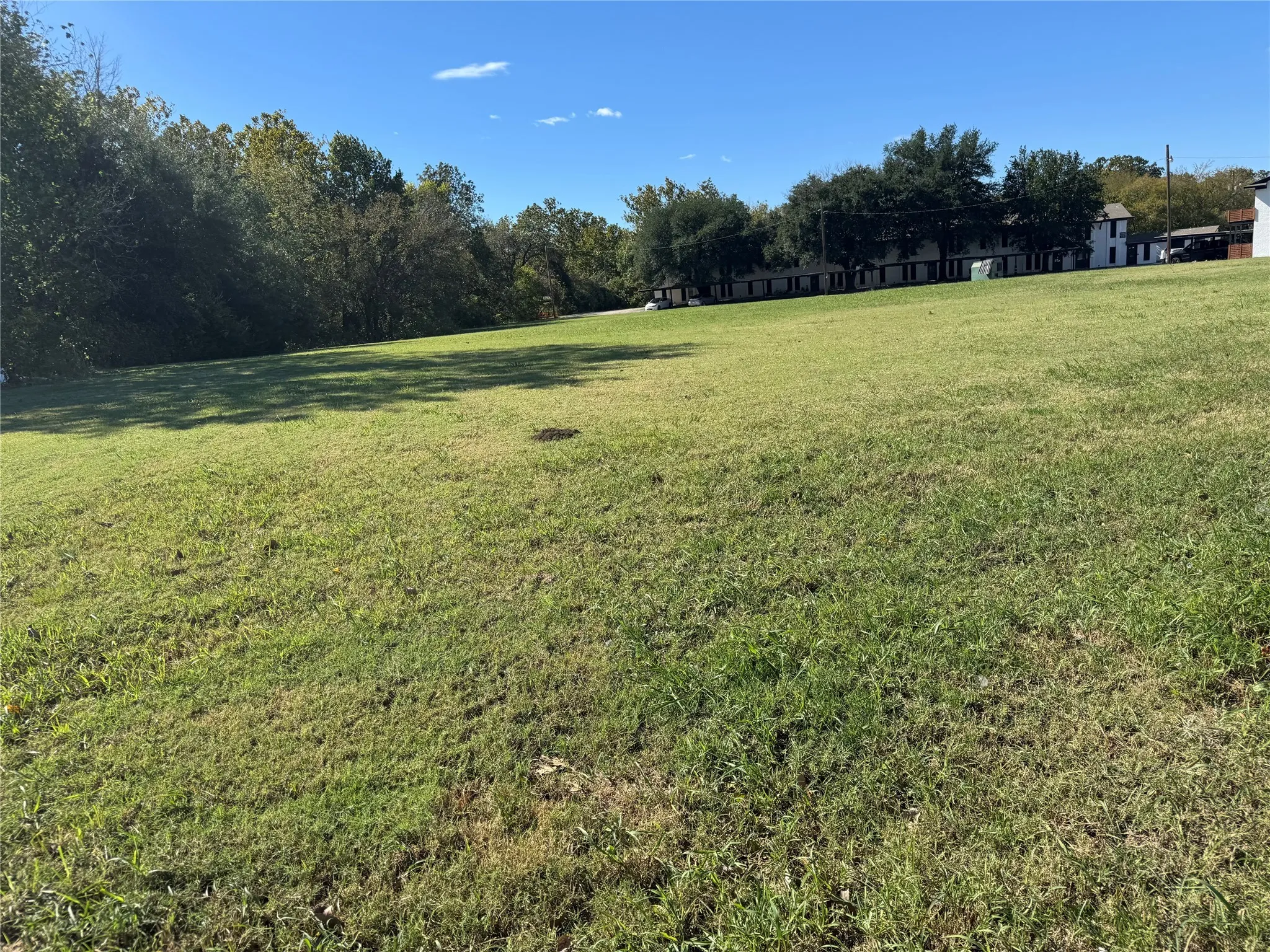 View of grassy yard