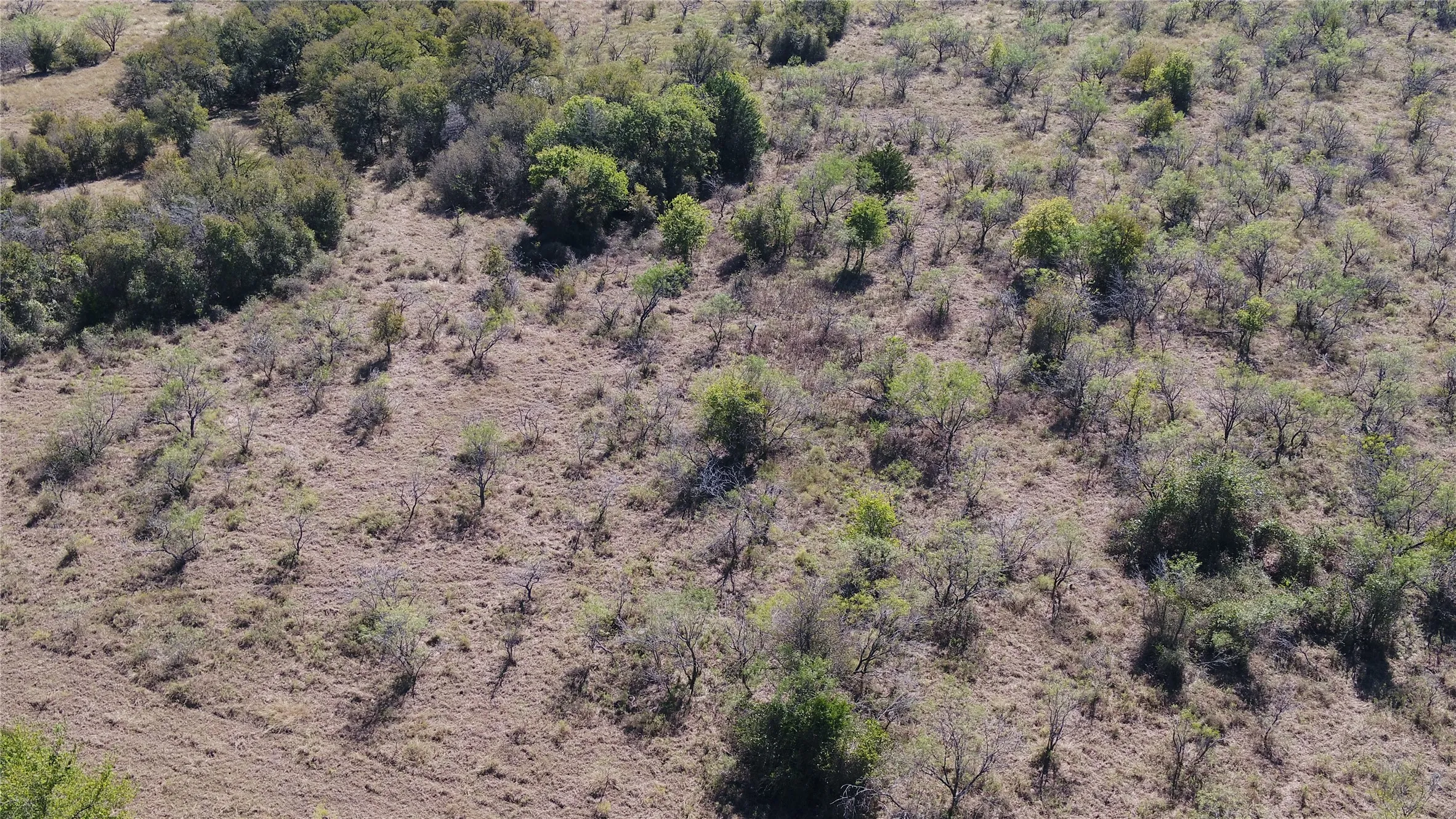 Unimproved Land For Sale in Limestone County , TBD tract 6 County Rd. 228, Tehuacana, Texas 76667, 0, 0, Garage spaces, 0 Sqft, built in 0, Price $67,500, mls#21108914, Real Estate Agent in Tehuacana, Homes For Sale in Limestone county, Homes For Sale in Tehuacana, Realtor in Tehuacana Texas, Real Estate Brokerage Independent Realty Texas, Luminita Cordes Realtor