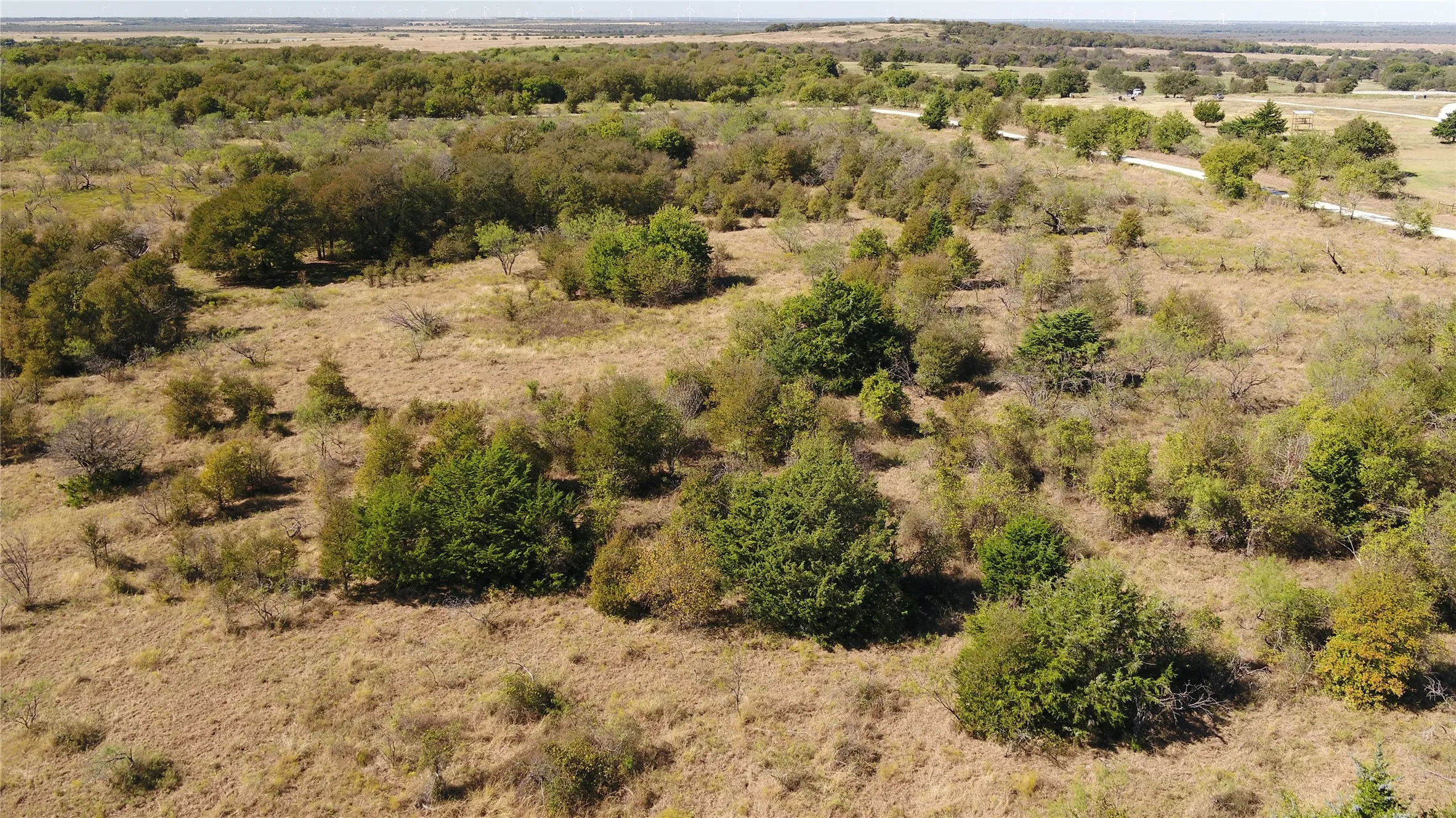 Unimproved Land For Sale in Limestone County , tbd tract 5 County Rd. 228, Tehuacana, Texas 76667, 0, 0, Garage spaces, 0 Sqft, built in 0, Price $67,500, mls#21108923, Real Estate Agent in Tehuacana, Homes For Sale in Limestone county, Homes For Sale in Tehuacana, Realtor in Tehuacana Texas, Real Estate Brokerage Independent Realty Texas, Luminita Cordes Realtor