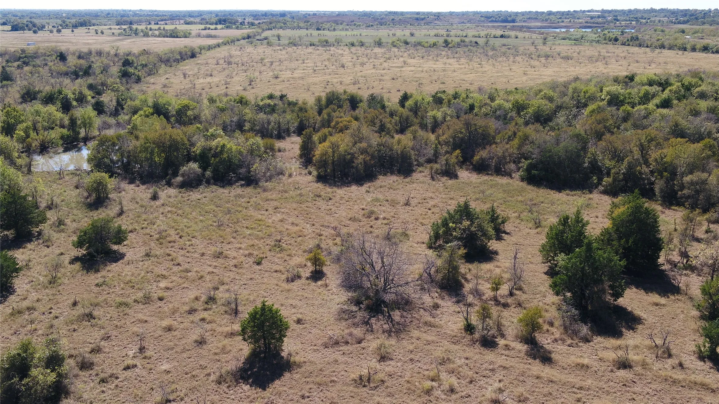 Unimproved Land For Sale in Limestone County , tbd tract 5 County Rd. 228, Tehuacana, Texas 76667, 0, 0, Garage spaces, 0 Sqft, built in 0, Price $67,500, mls#21108923, Real Estate Agent in Tehuacana, Homes For Sale in Limestone county, Homes For Sale in Tehuacana, Realtor in Tehuacana Texas, Real Estate Brokerage Independent Realty Texas, Luminita Cordes Realtor