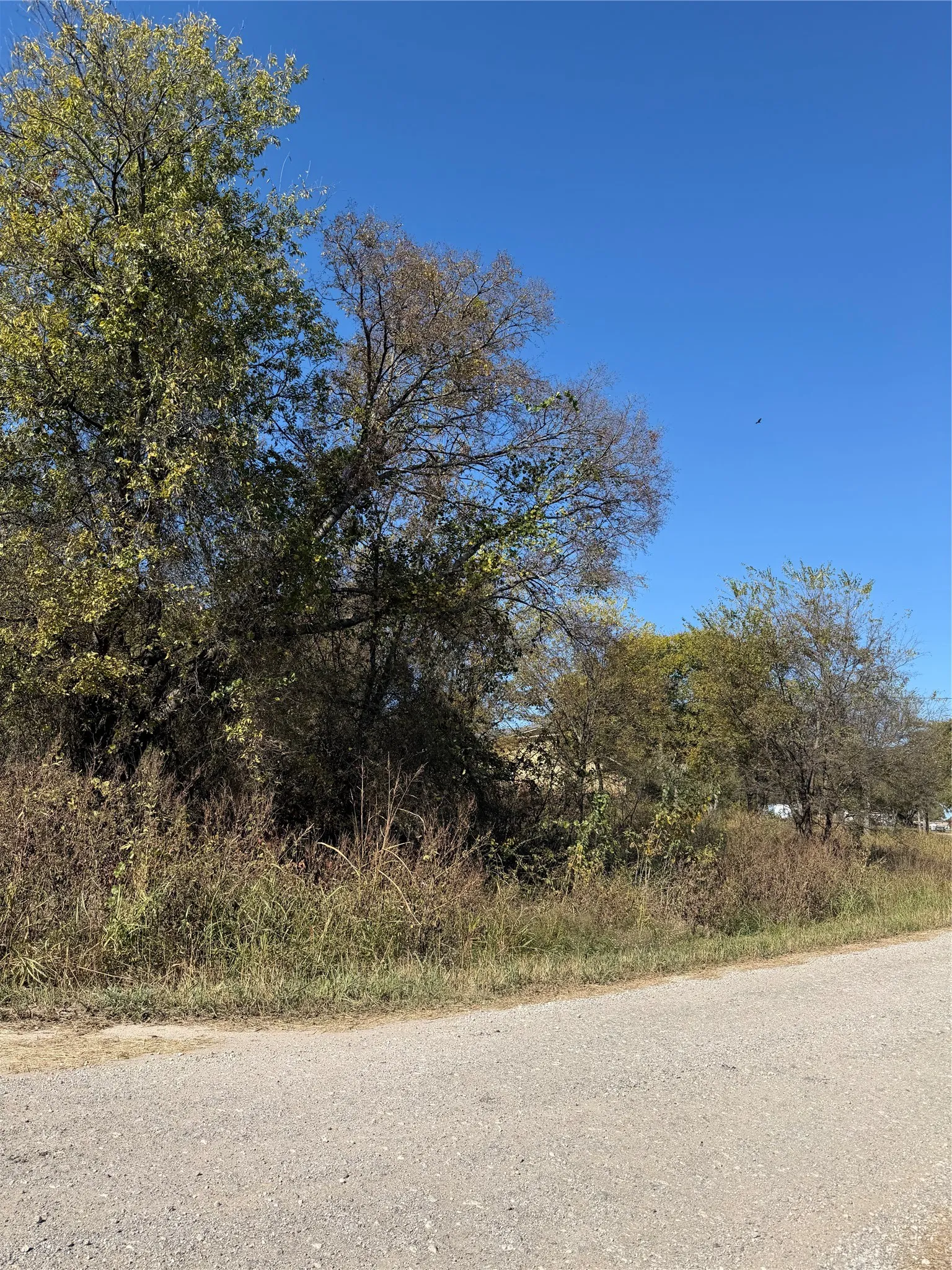 Unimproved Land For Sale in Hunt County , 0000 Ridge Crest, Lone Oak, Texas 75453, 0, 0, Garage spaces, 0 Sqft, built in 0, mls#21108502, Real Estate Agent in Lone Oak, Homes For Sale in Hunt county, Homes For Sale in Lone Oak, Realtor in Lone Oak Texas, Real Estate Brokerage Independent Realty Texas, Luminita Cordes Realtor