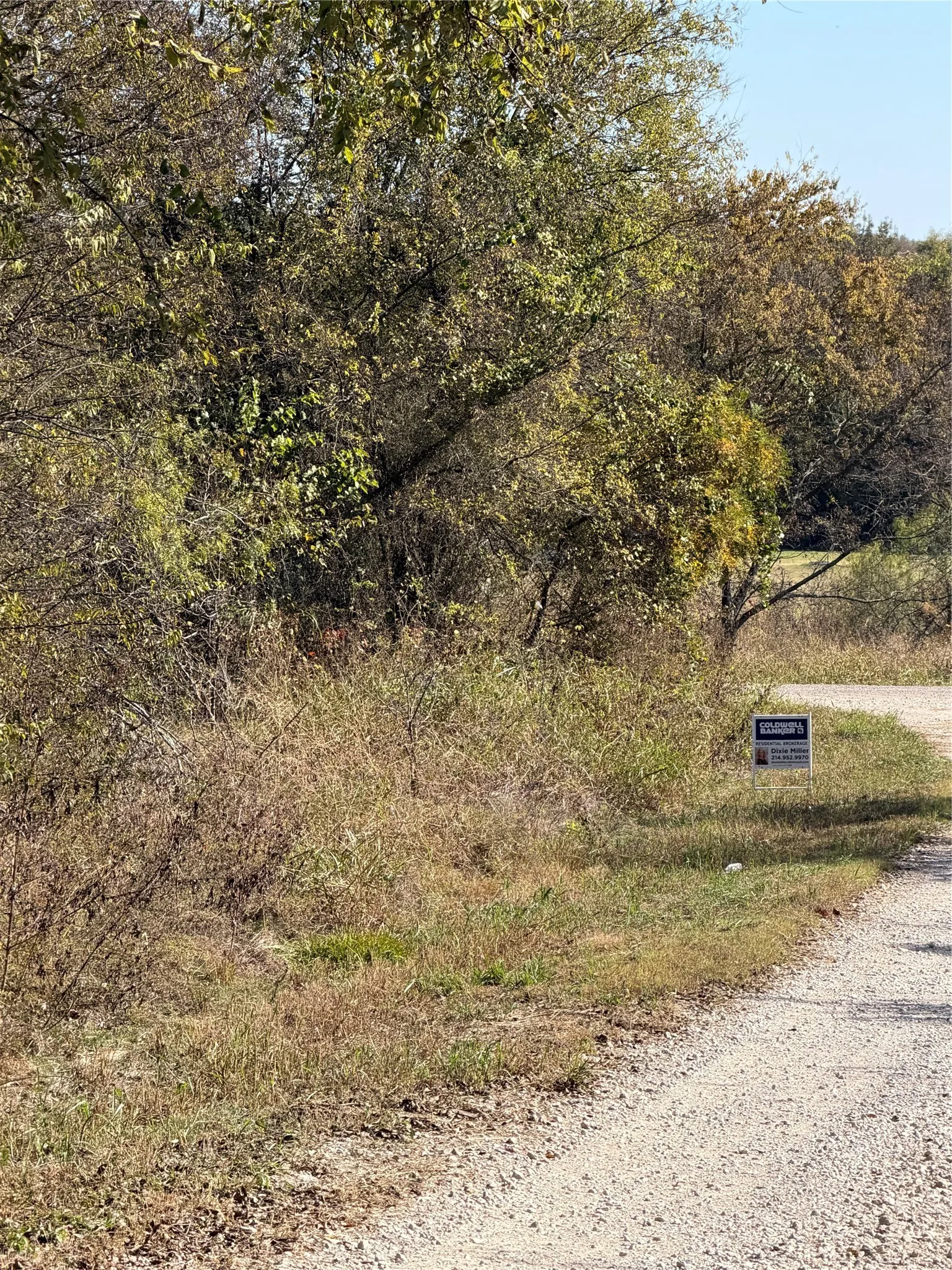 Unimproved Land For Sale in Hunt County , 0000 Ridge Crest, Lone Oak, Texas 75453, 0, 0, Garage spaces, 0 Sqft, built in 0, mls#21108502, Real Estate Agent in Lone Oak, Homes For Sale in Hunt county, Homes For Sale in Lone Oak, Realtor in Lone Oak Texas, Real Estate Brokerage Independent Realty Texas, Luminita Cordes Realtor