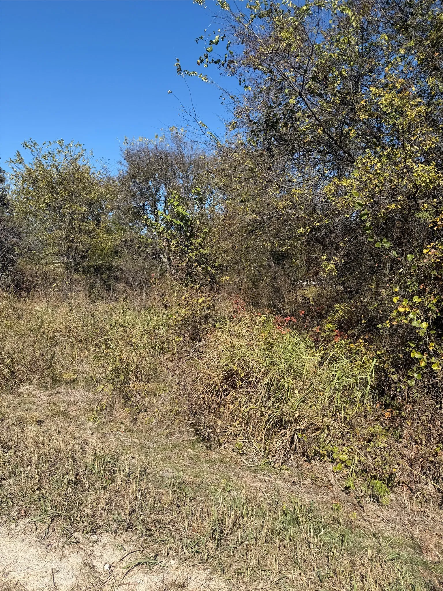 Unimproved Land For Sale in Hunt County , 0000 Ridge Crest, Lone Oak, Texas 75453, 0, 0, Garage spaces, 0 Sqft, built in 0, mls#21108502, Real Estate Agent in Lone Oak, Homes For Sale in Hunt county, Homes For Sale in Lone Oak, Realtor in Lone Oak Texas, Real Estate Brokerage Independent Realty Texas, Luminita Cordes Realtor