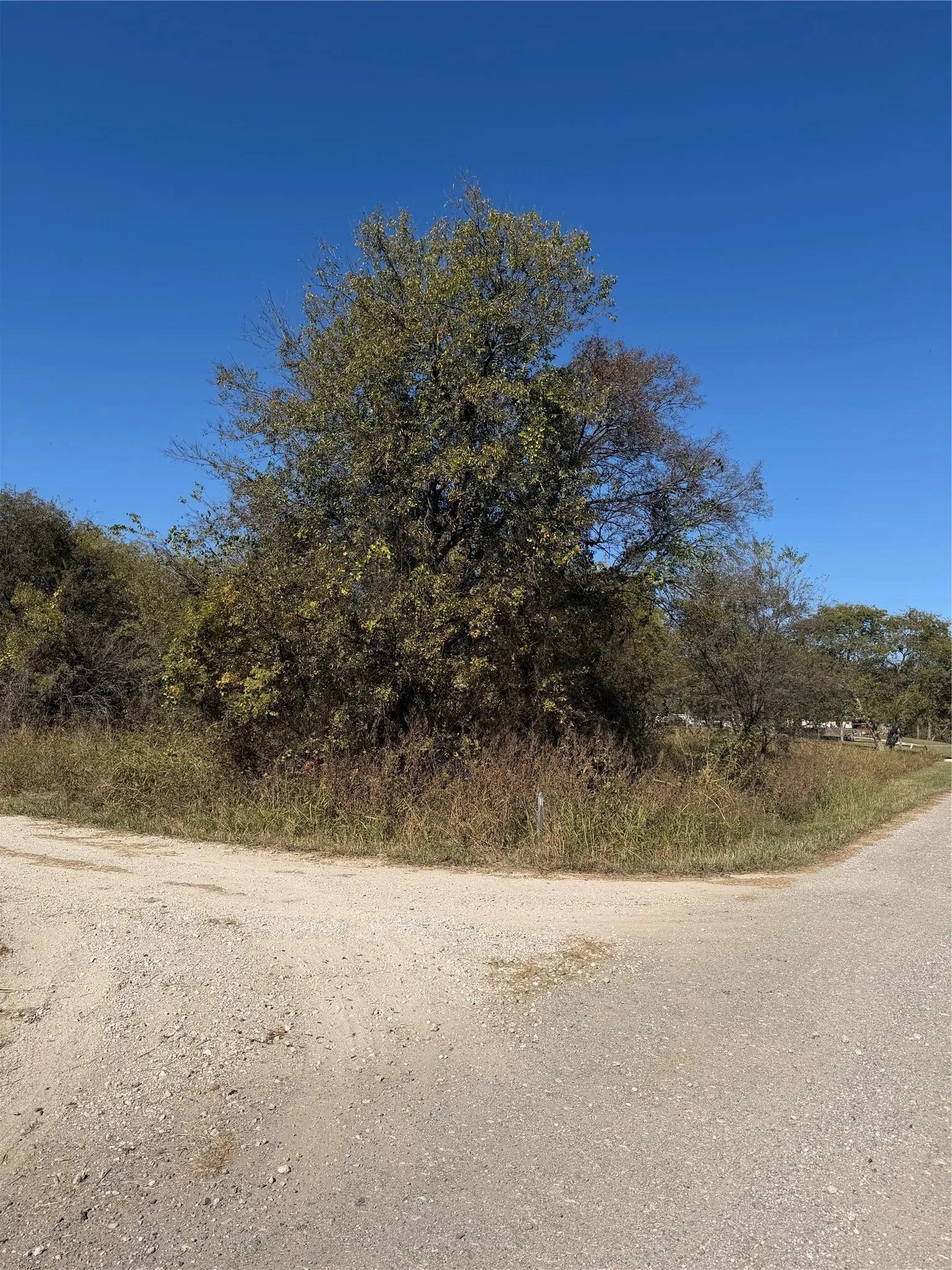 Unimproved Land For Sale in Hunt County , 0000 Ridge Crest, Lone Oak, Texas 75453, 0, 0, Garage spaces, 0 Sqft, built in 0, mls#21108502, Real Estate Agent in Lone Oak, Homes For Sale in Hunt county, Homes For Sale in Lone Oak, Realtor in Lone Oak Texas, Real Estate Brokerage Independent Realty Texas, Luminita Cordes Realtor