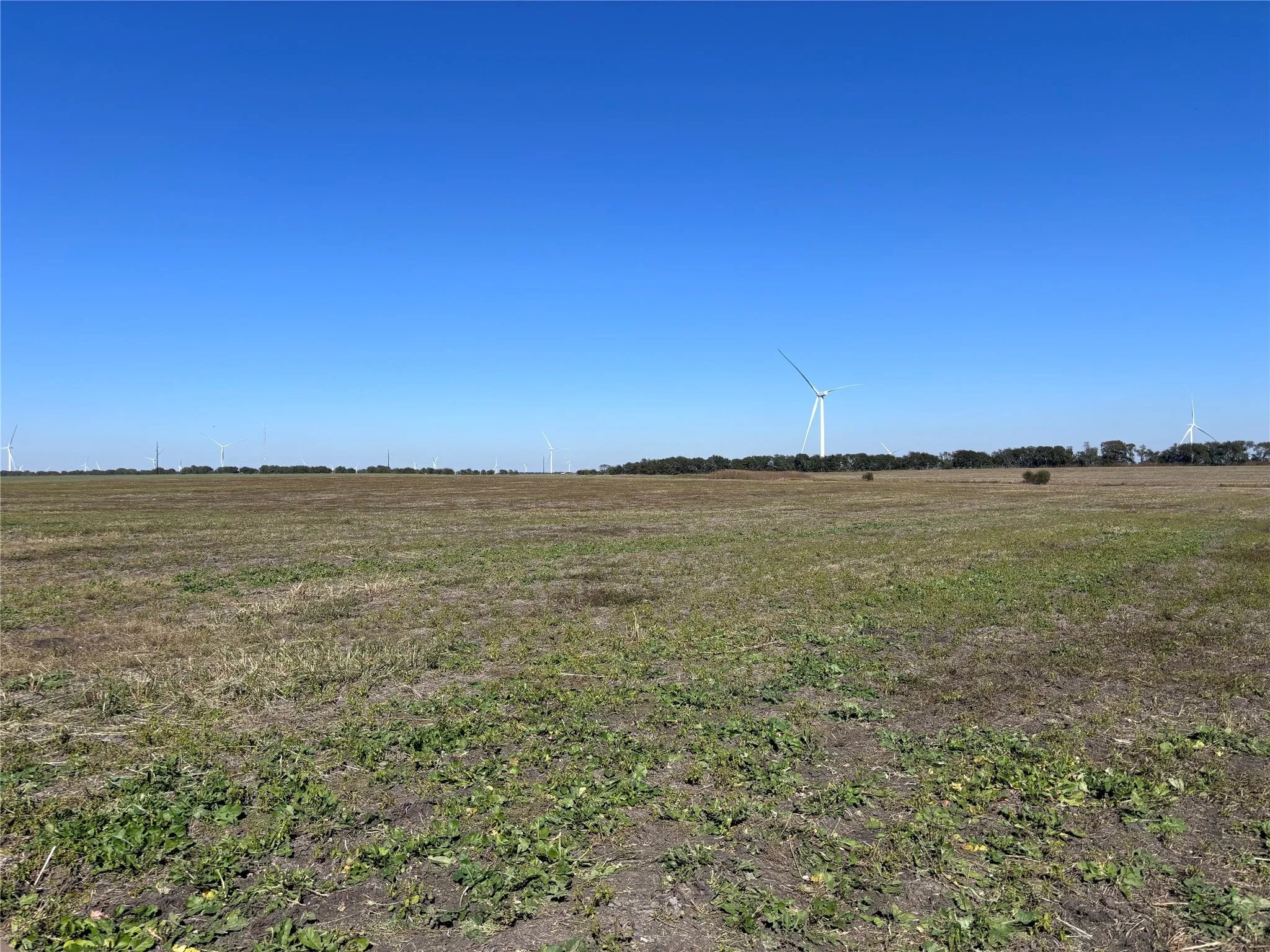 View of yard featuring a rural view