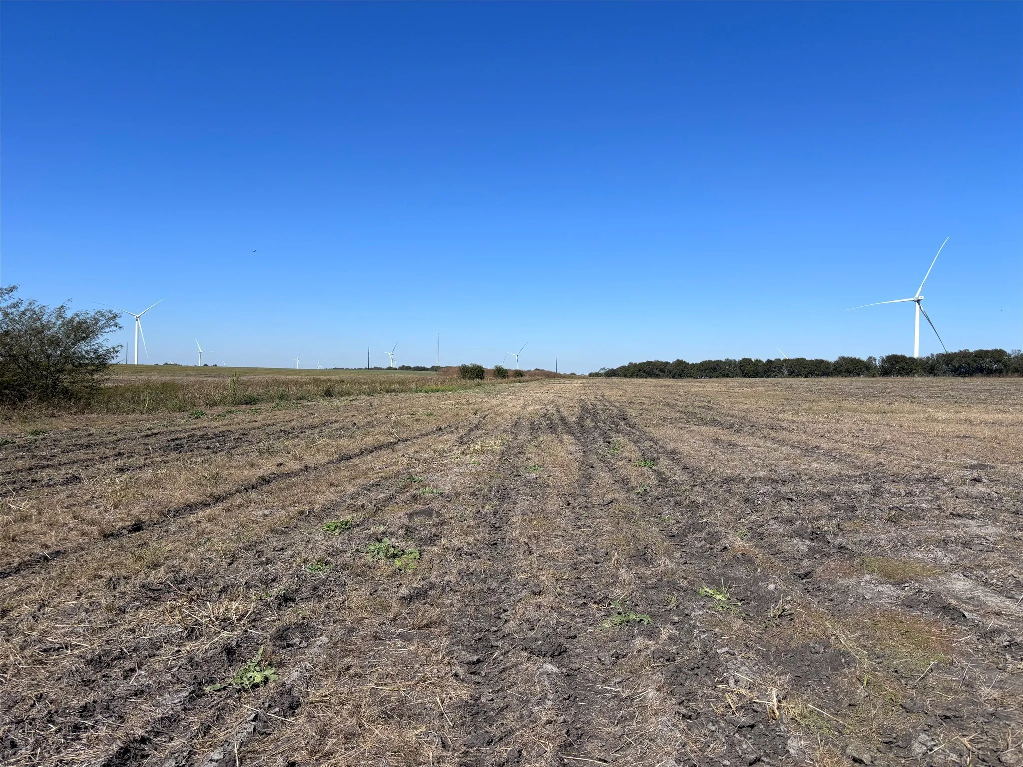 Unimproved Land For Sale in Mc Lennan County , TBD E Cowan Street 11, Mart, Texas 76664, 0, 0, Garage spaces, 0 Sqft, built in 0, Price $65,000, mls#21109295, Real Estate Agent in Mart, Homes For Sale in Mc Lennan county, Homes For Sale in Mart, Realtor in Mart Texas, Real Estate Brokerage Independent Realty Texas, Luminita Cordes Realtor