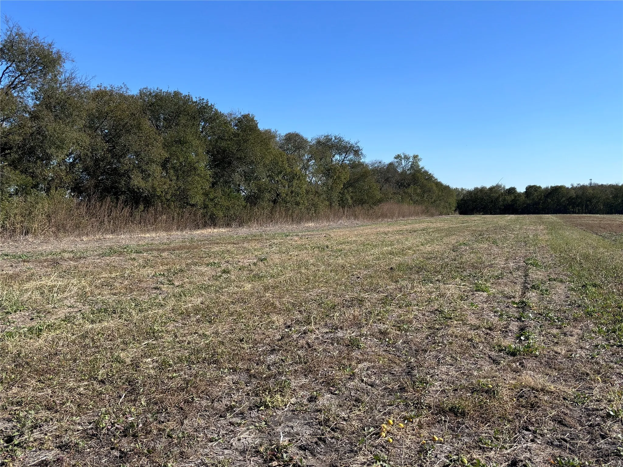 Unimproved Land For Sale in Limestone County , TBD E Cowan 24, Mart, Texas 76664, 0, 0, Garage spaces, 0 Sqft, built in 0, mls#21109332, Real Estate Agent in Mart, Homes For Sale in Limestone county, Homes For Sale in Mart, Realtor in Mart Texas, Real Estate Brokerage Independent Realty Texas, Luminita Cordes Realtor