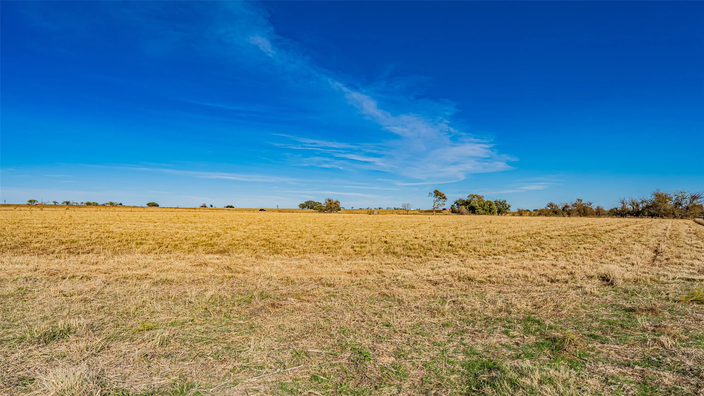 Unimproved Land For Sale in Erath County , 3700 County Road 330, Dublin, Texas 76446, 0, 0, Garage spaces, 0 Sqft, built in 0, mls#21108515, Real Estate Agent in Dublin, Homes For Sale in Erath county, Homes For Sale in Dublin, Realtor in Dublin Texas, Real Estate Brokerage Independent Realty Texas, Luminita Cordes Realtor