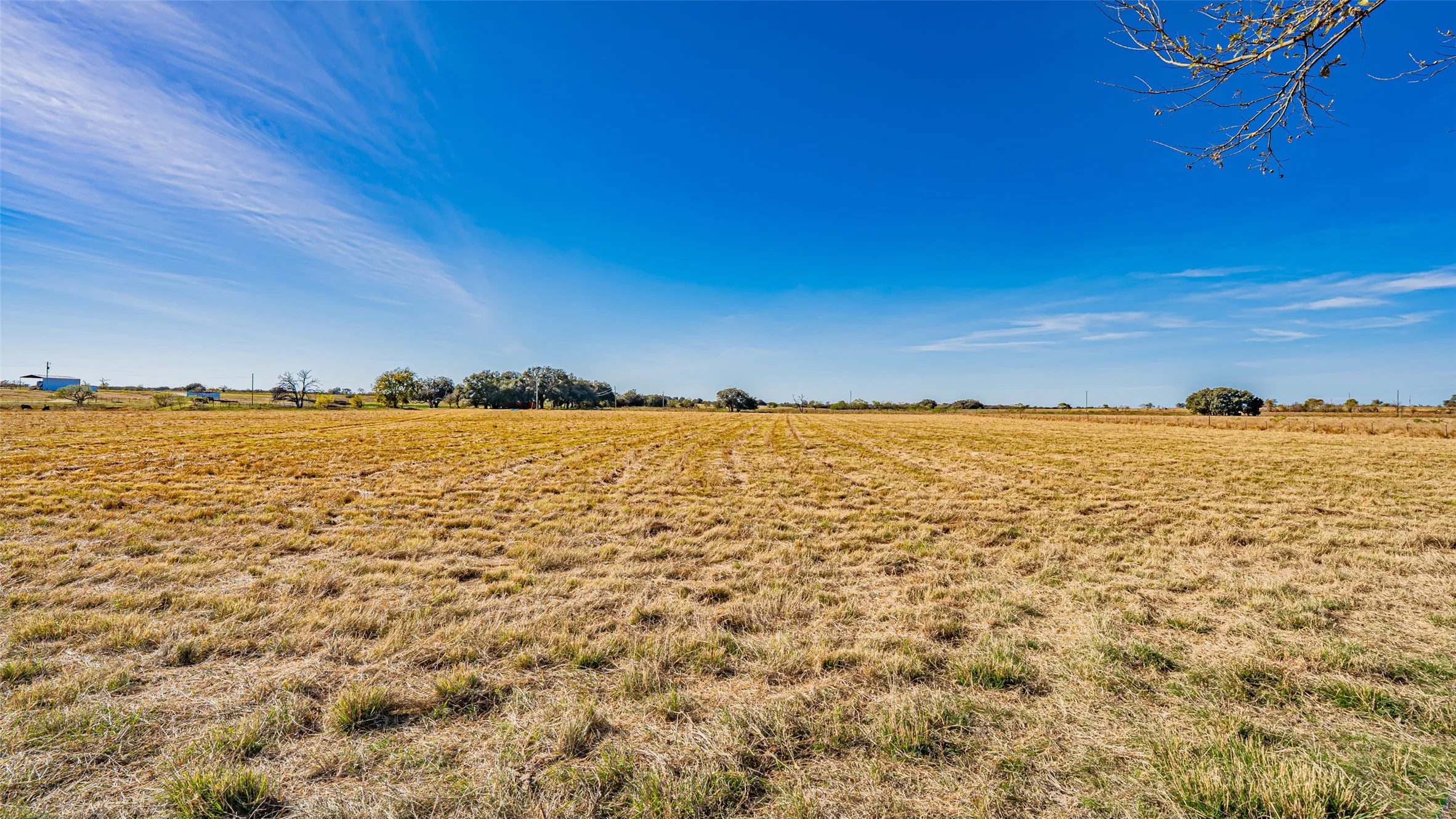 Unimproved Land For Sale in Erath County , 3700 County Road 330, Dublin, Texas 76446, 0, 0, Garage spaces, 0 Sqft, built in 0, mls#21108515, Real Estate Agent in Dublin, Homes For Sale in Erath county, Homes For Sale in Dublin, Realtor in Dublin Texas, Real Estate Brokerage Independent Realty Texas, Luminita Cordes Realtor