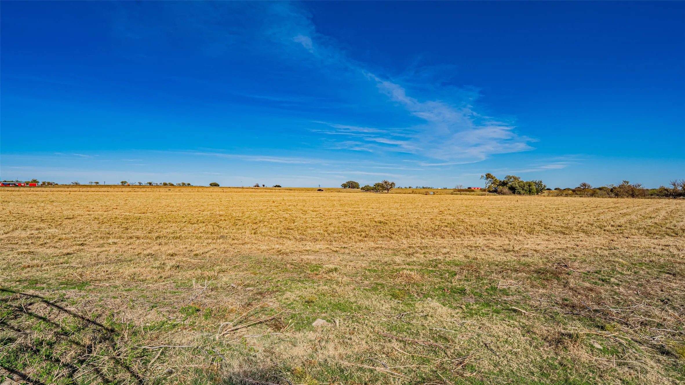 Unimproved Land For Sale in Erath County , 3700 County Road 330, Dublin, Texas 76446, 0, 0, Garage spaces, 0 Sqft, built in 0, mls#21108515, Real Estate Agent in Dublin, Homes For Sale in Erath county, Homes For Sale in Dublin, Realtor in Dublin Texas, Real Estate Brokerage Independent Realty Texas, Luminita Cordes Realtor