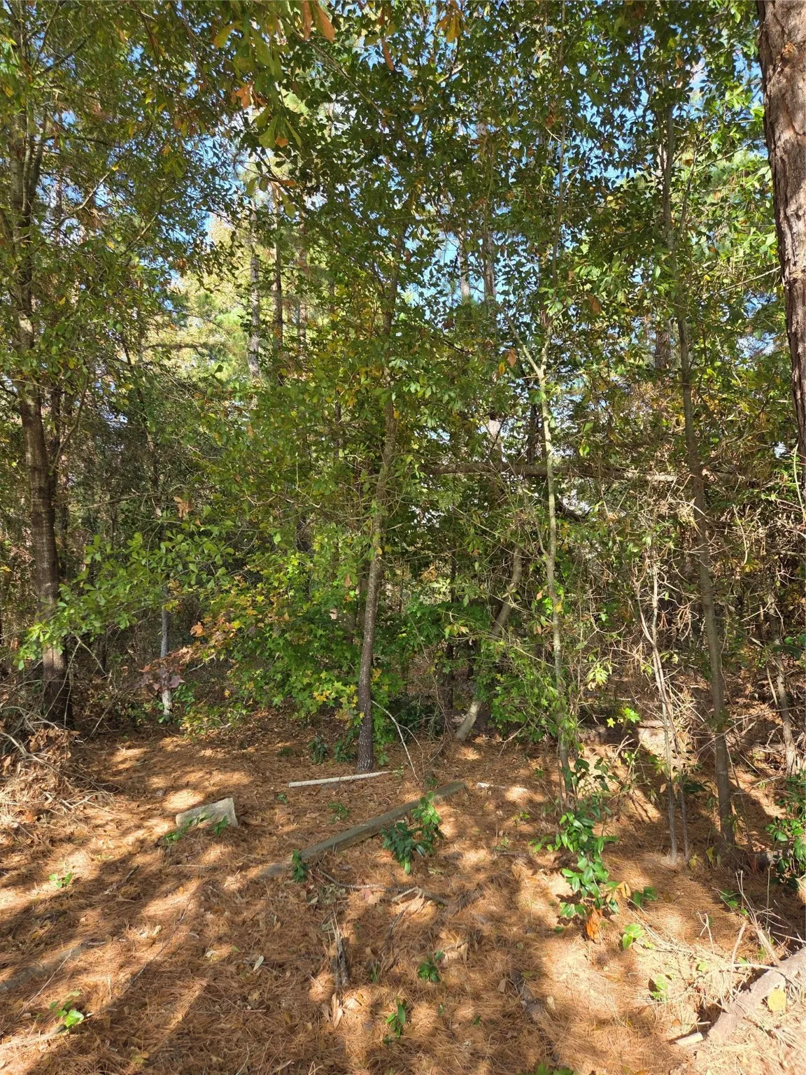 Unimproved Land For Sale in Smith County , 15752 Meadow Circle, Bullard, Texas 75757, 0, 0, Garage spaces, 0 Sqft, built in 0, mls#21110004, Real Estate Agent in Bullard, Homes For Sale in Smith county, Homes For Sale in Bullard, Realtor in Bullard Texas, Real Estate Brokerage Independent Realty Texas, Luminita Cordes Realtor