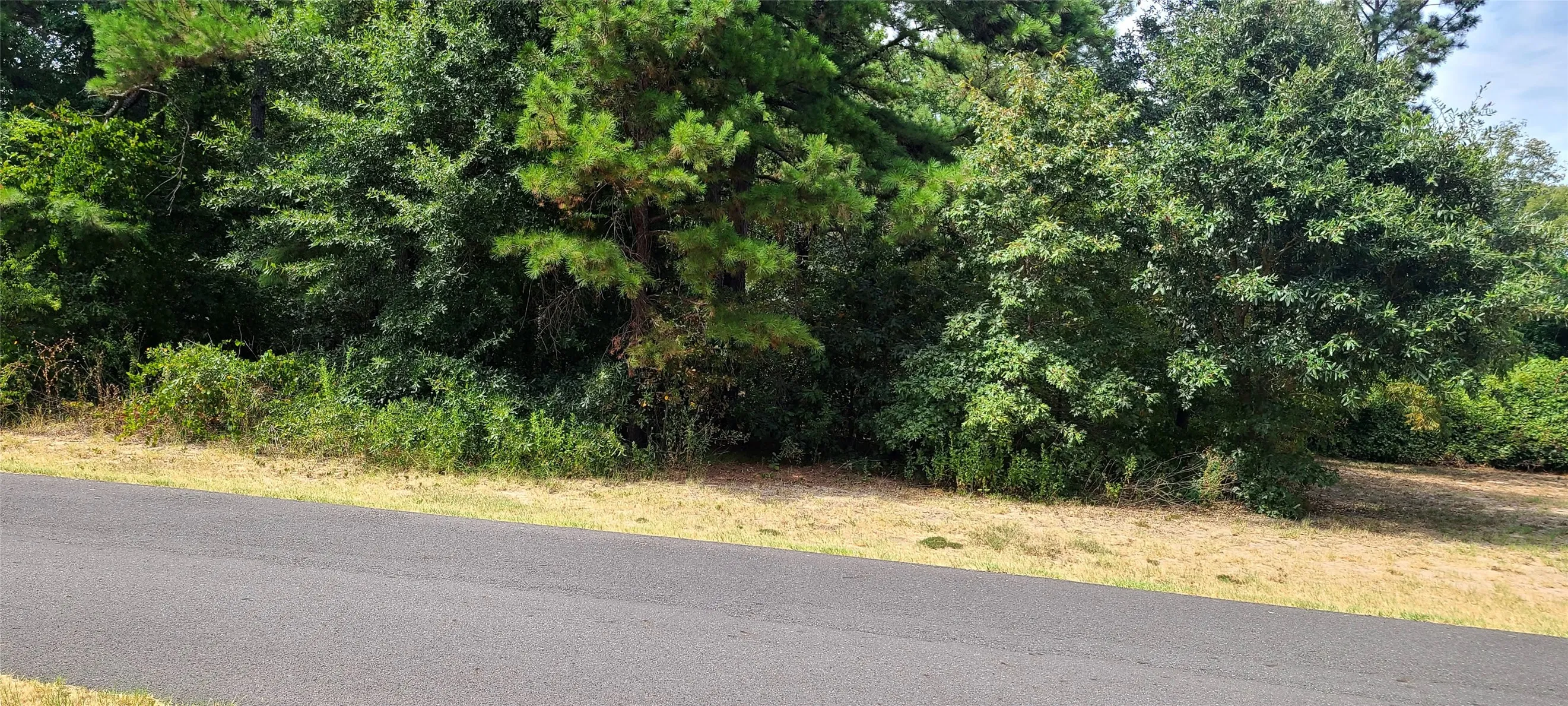 Unimproved Land For Sale in Smith County , 15752 Meadow Circle, Bullard, Texas 75757, 0, 0, Garage spaces, 0 Sqft, built in 0, mls#21110004, Real Estate Agent in Bullard, Homes For Sale in Smith county, Homes For Sale in Bullard, Realtor in Bullard Texas, Real Estate Brokerage Independent Realty Texas, Luminita Cordes Realtor