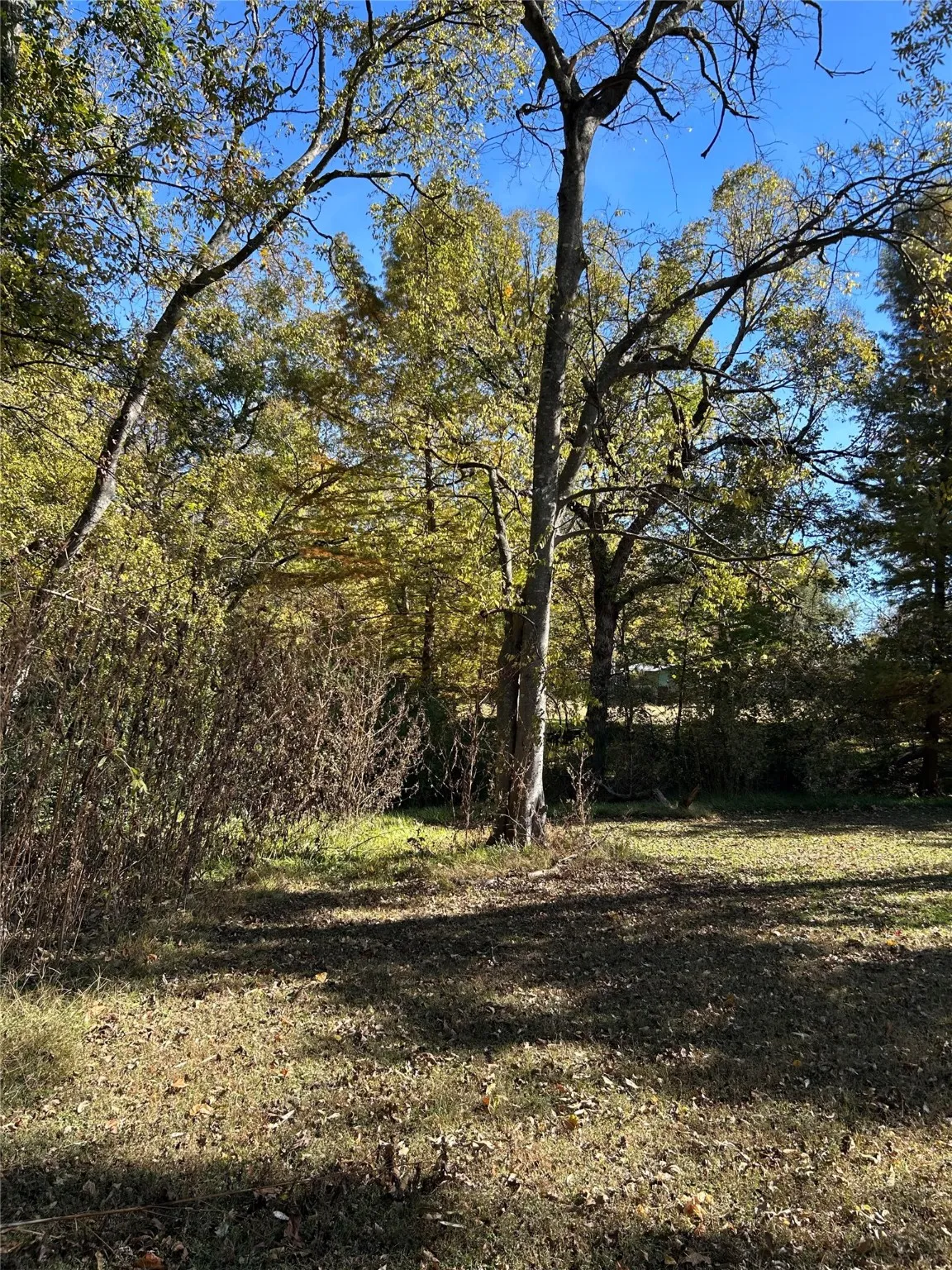 Unimproved Land For Sale in Franklin (TX) County , TBD Keith Street, Mount Vernon, Texas 75457, 0, 0, Garage spaces, 0 Sqft, built in 0, mls#21109596, Real Estate Agent in Mount Vernon, Homes For Sale in Franklin (TX) county, Homes For Sale in Mount Vernon, Realtor in Mount Vernon Texas, Real Estate Brokerage Independent Realty Texas, Luminita Cordes Realtor