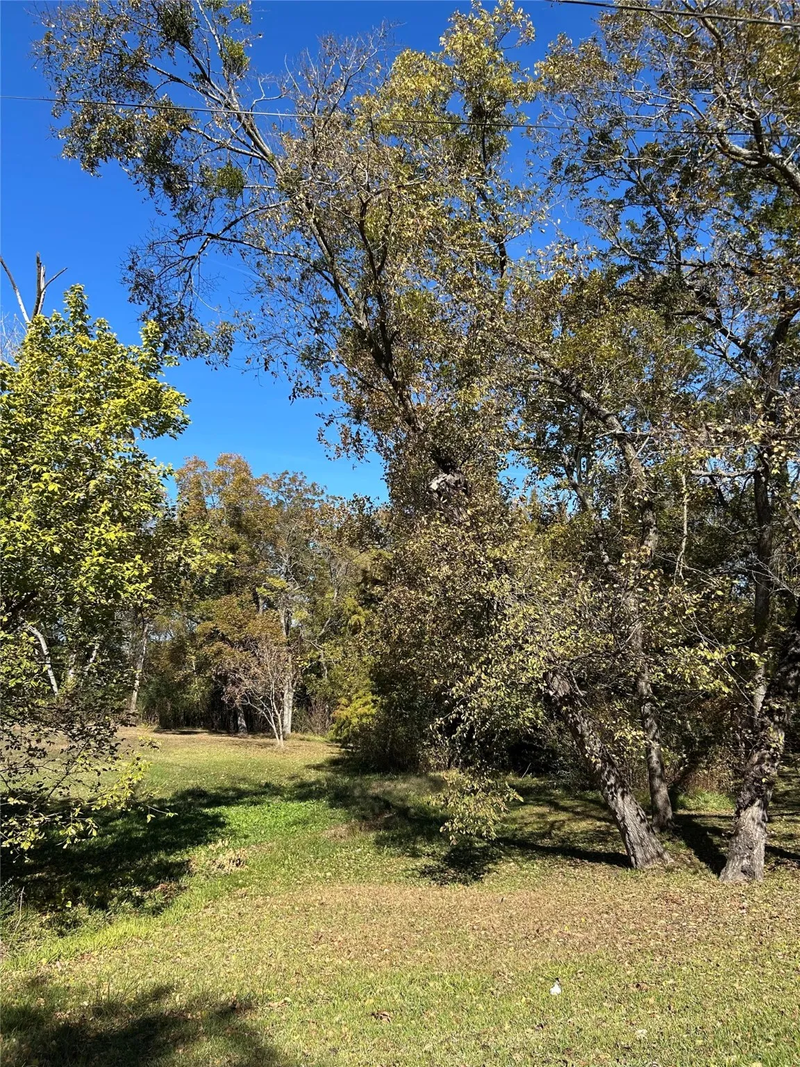 Unimproved Land For Sale in Franklin (TX) County , TBD Keith Street, Mount Vernon, Texas 75457, 0, 0, Garage spaces, 0 Sqft, built in 0, mls#21109596, Real Estate Agent in Mount Vernon, Homes For Sale in Franklin (TX) county, Homes For Sale in Mount Vernon, Realtor in Mount Vernon Texas, Real Estate Brokerage Independent Realty Texas, Luminita Cordes Realtor