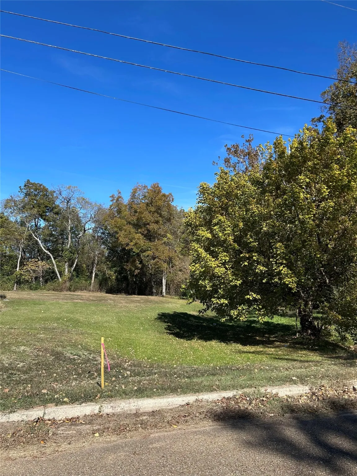 Unimproved Land For Sale in Franklin (TX) County , TBD Keith Street, Mount Vernon, Texas 75457, 0, 0, Garage spaces, 0 Sqft, built in 0, mls#21109596, Real Estate Agent in Mount Vernon, Homes For Sale in Franklin (TX) county, Homes For Sale in Mount Vernon, Realtor in Mount Vernon Texas, Real Estate Brokerage Independent Realty Texas, Luminita Cordes Realtor