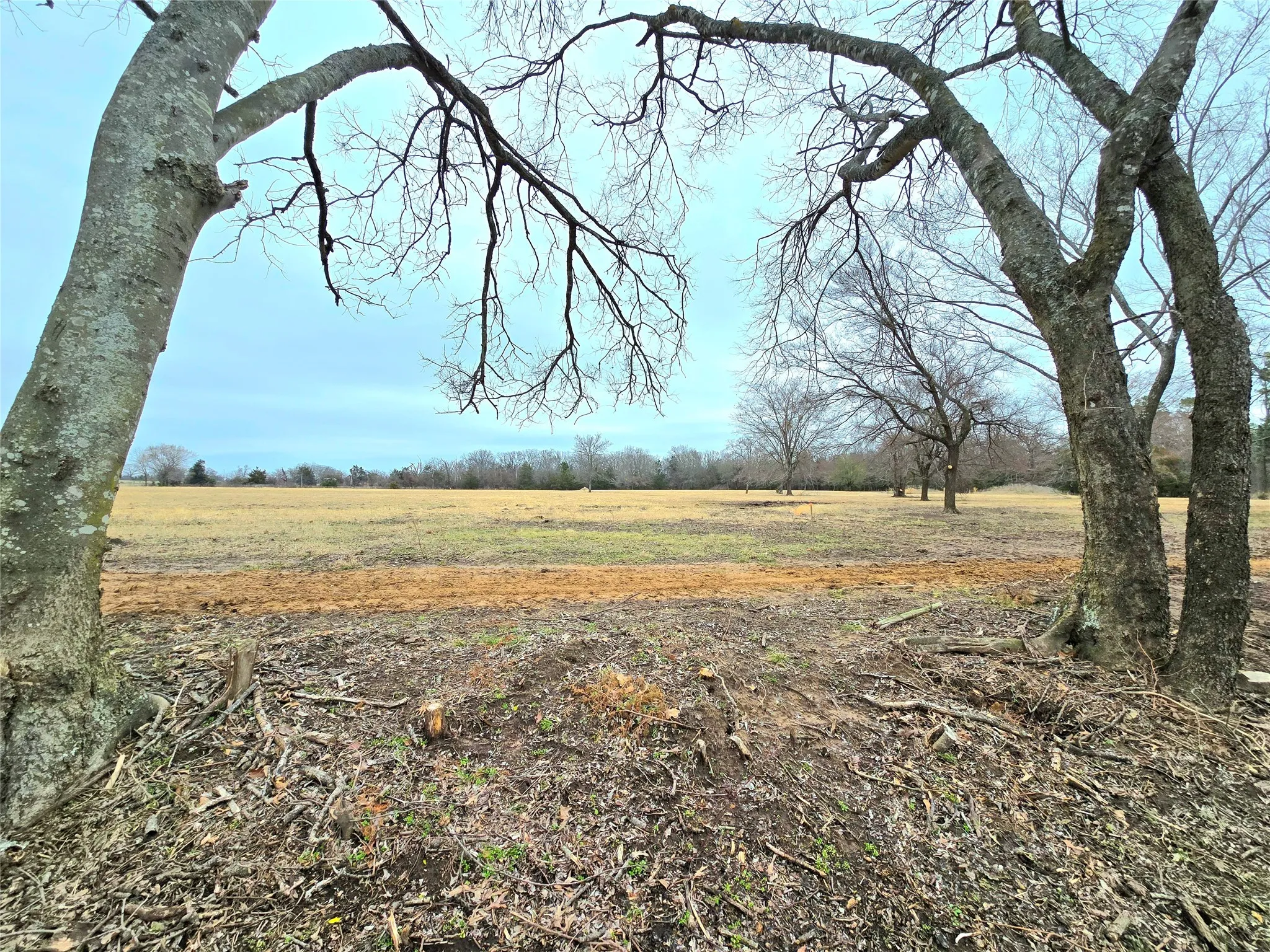 Unimproved Land For Sale in Rains County , TBD Lot 4 CR 2245, Emory, Texas 75440, 0, 0, Garage spaces, 0 Sqft, built in 0, mls#21110510, Real Estate Agent in Emory, Homes For Sale in Rains county, Homes For Sale in Emory, Realtor in Emory Texas, Real Estate Brokerage Independent Realty Texas, Luminita Cordes Realtor