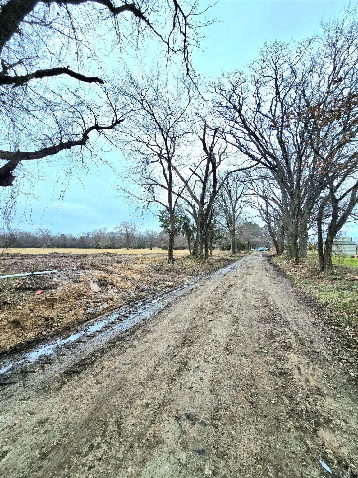 Unimproved Land For Sale in Rains County , TBD Lot 4 CR 2245, Emory, Texas 75440, 0, 0, Garage spaces, 0 Sqft, built in 0, mls#21110510, Real Estate Agent in Emory, Homes For Sale in Rains county, Homes For Sale in Emory, Realtor in Emory Texas, Real Estate Brokerage Independent Realty Texas, Luminita Cordes Realtor