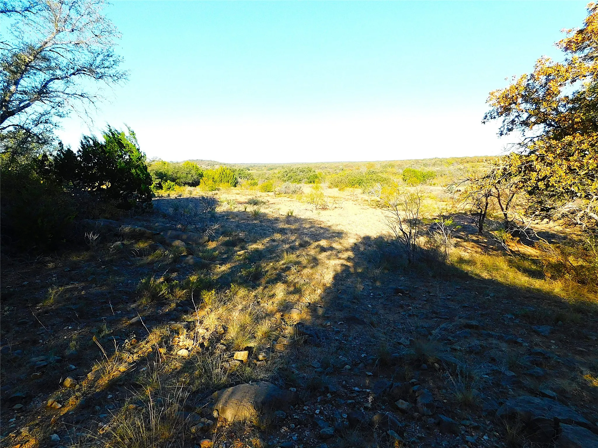 View of yard with a view of rural / pastoral area
